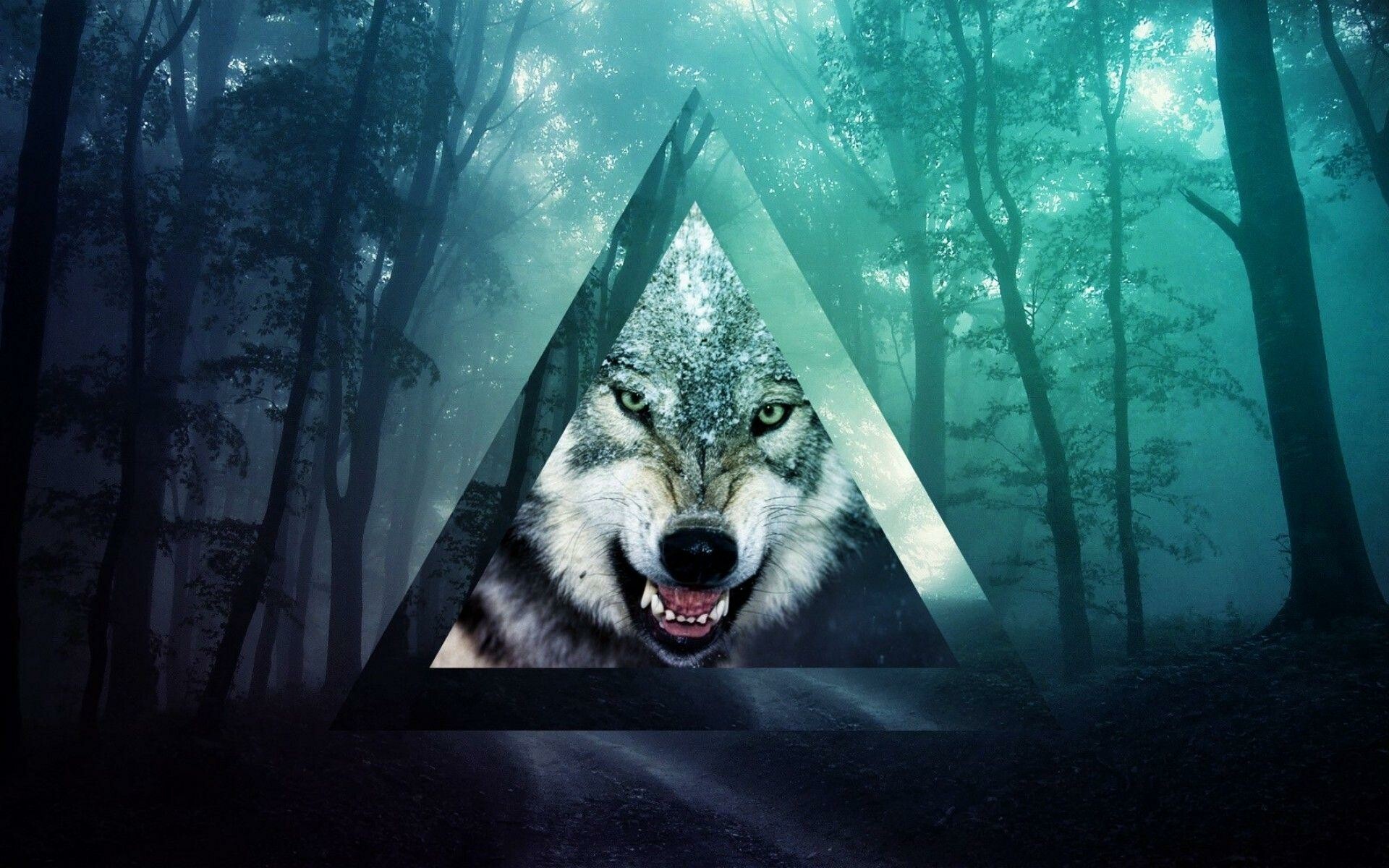 Tumblr desktop wolf, Aesthetically pleasing, Artistic vibes, Popular choice, 1920x1200 HD Desktop