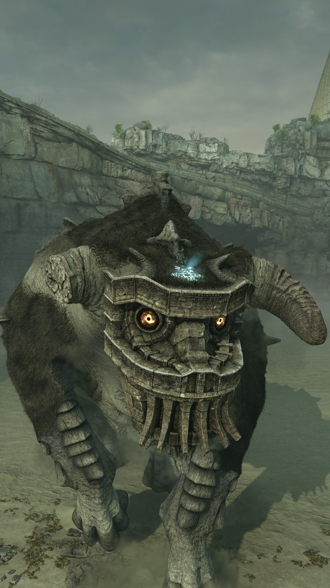 Shadow of the Colossus, Breathtaking photography, 1080x1920 Full HD Phone