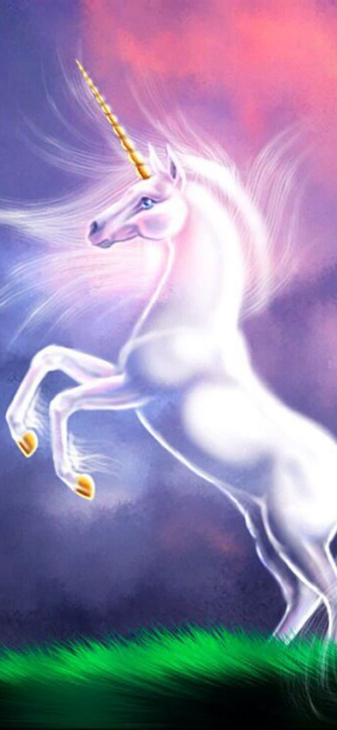 Best unicorn backgrounds, Stunning visuals, Unicorn magic, Fantasy realms, 1080x2340 HD Phone