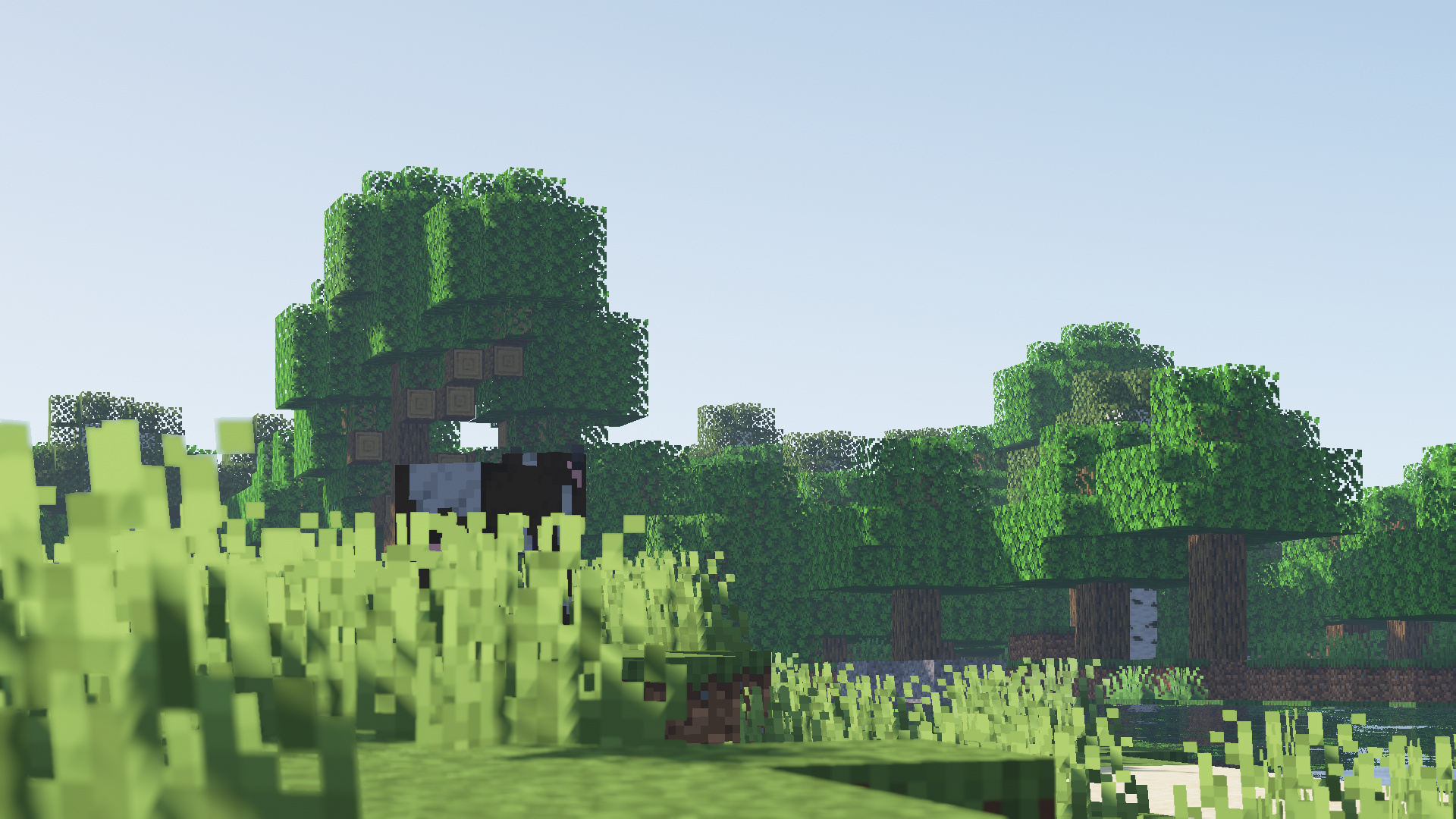 Minecraft cow, Minecraft oak forest, Minecraft realistic shaders, Full HD Desktop wallpaper