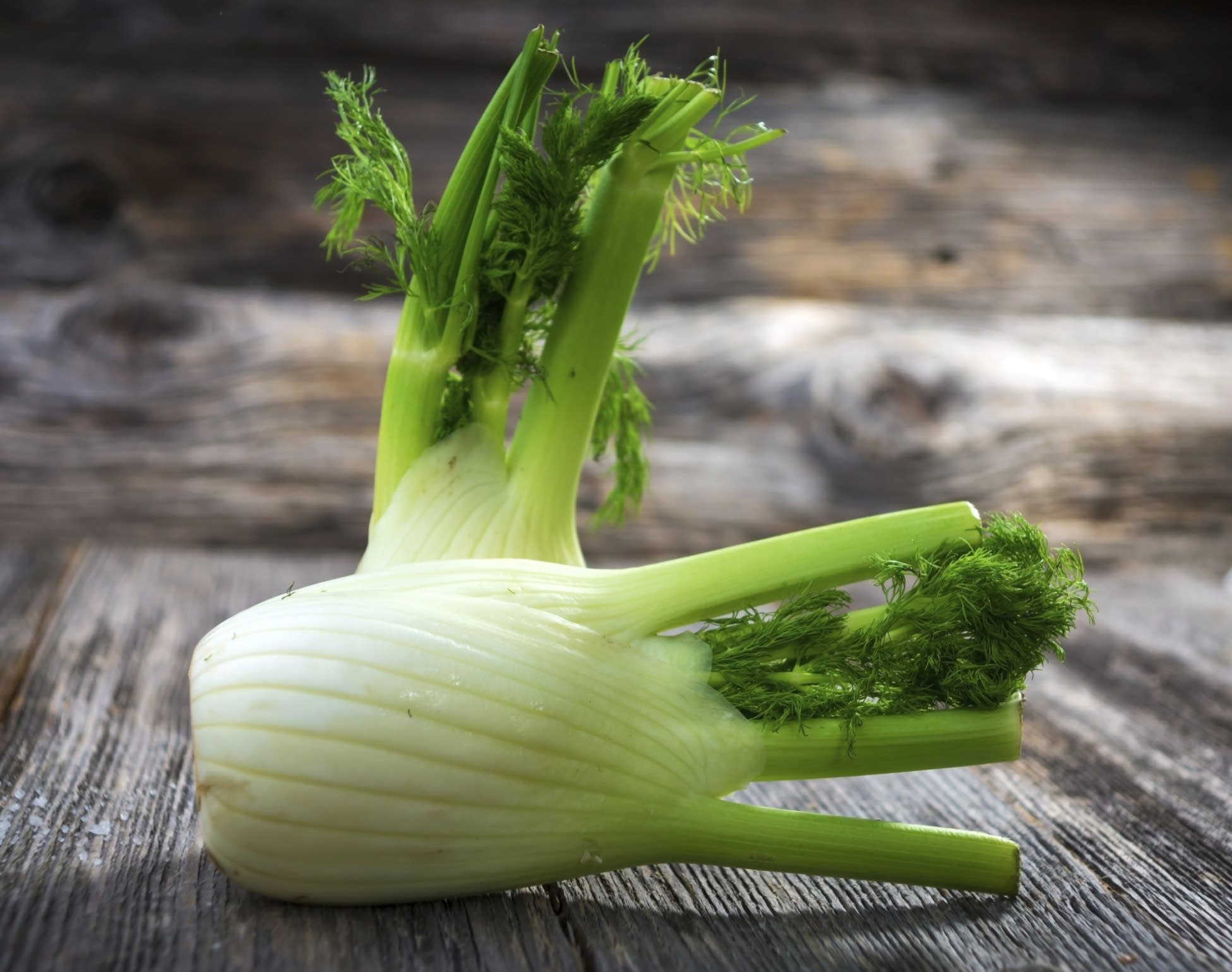 Fennel vs anise, Similar taste profiles, Distinct differences, Culinary debate, 1960x1540 HD Desktop