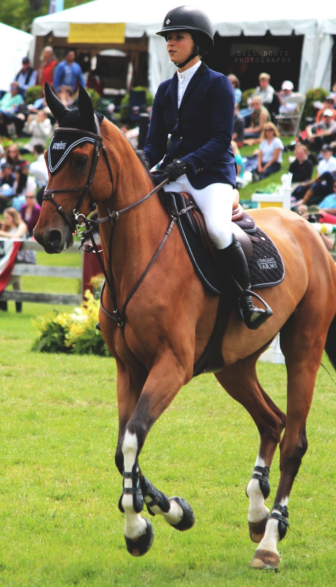 Bell boots photography, Beautiful horses, Show jumping horses, Equitation, 1110x1920 HD Phone