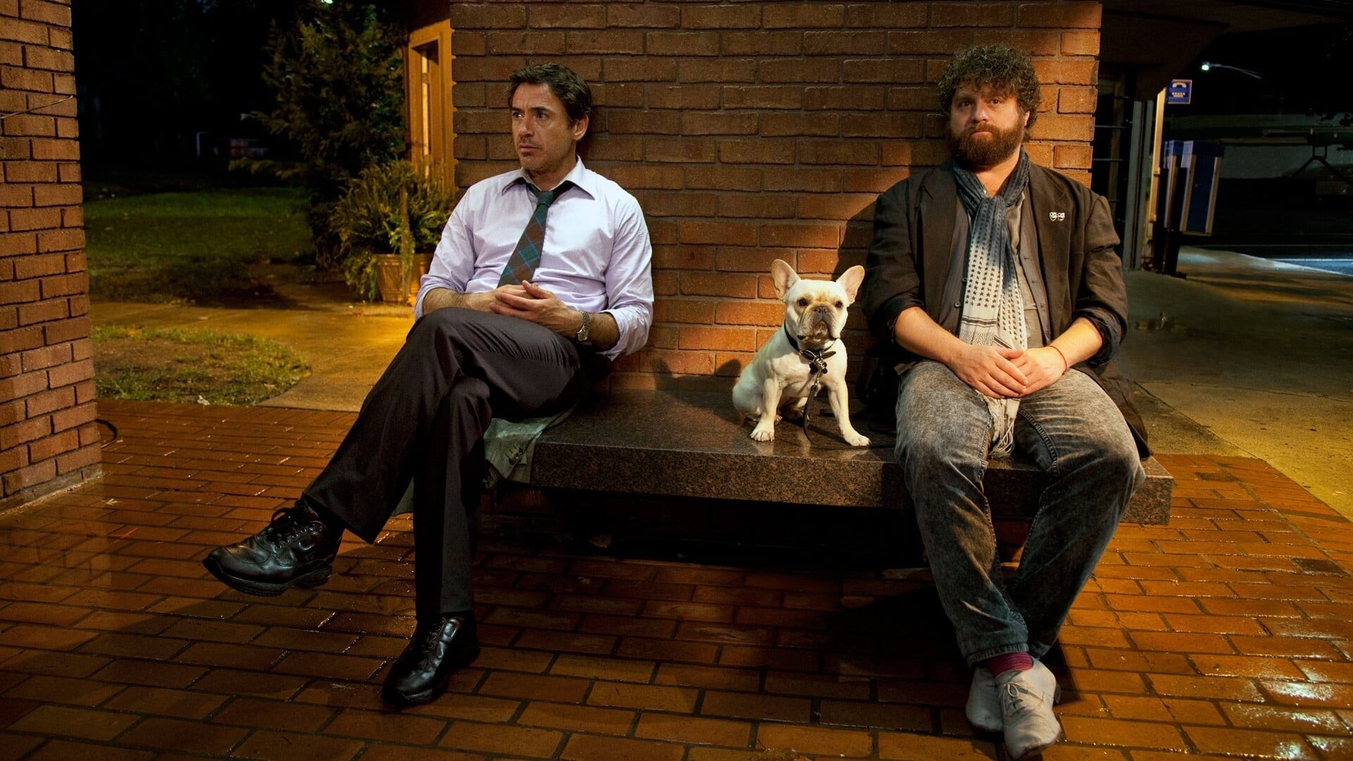 Due Date, Movie 2010, Wallpapers, Posters, 1920x1080 Full HD Desktop
