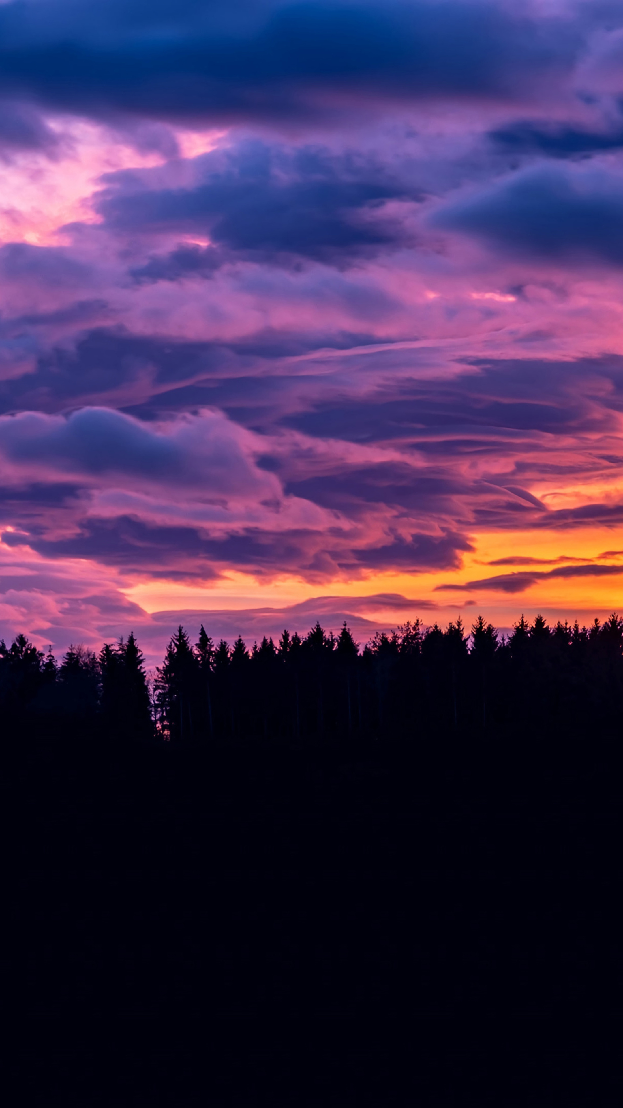 conifer forest silhouette, purple sunset clouds, orange twilight glow, 4K Phone wallpaper
