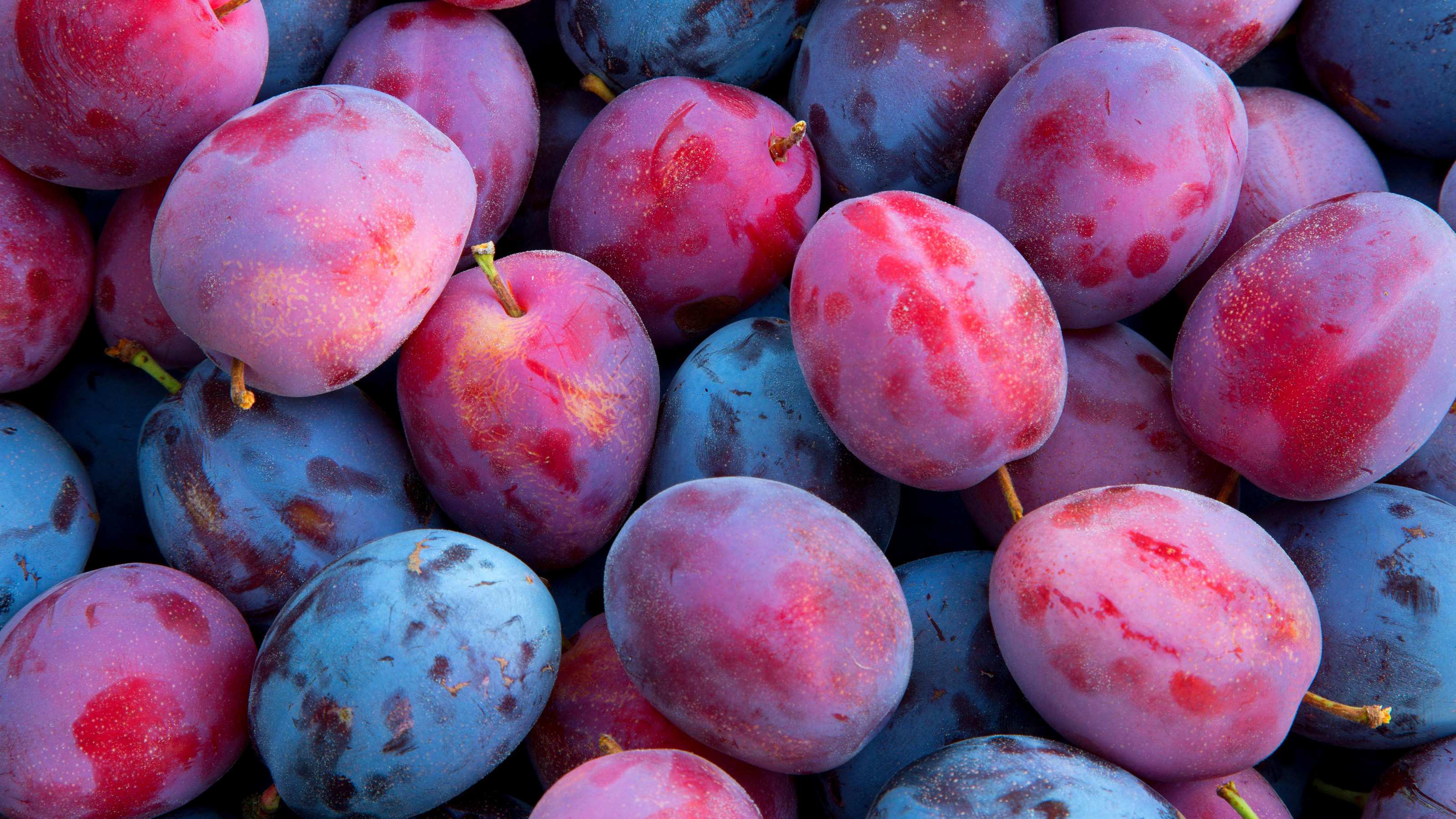 Growing plum trees, Planting tips, Gardeningetc, 3200x1800 HD Desktop