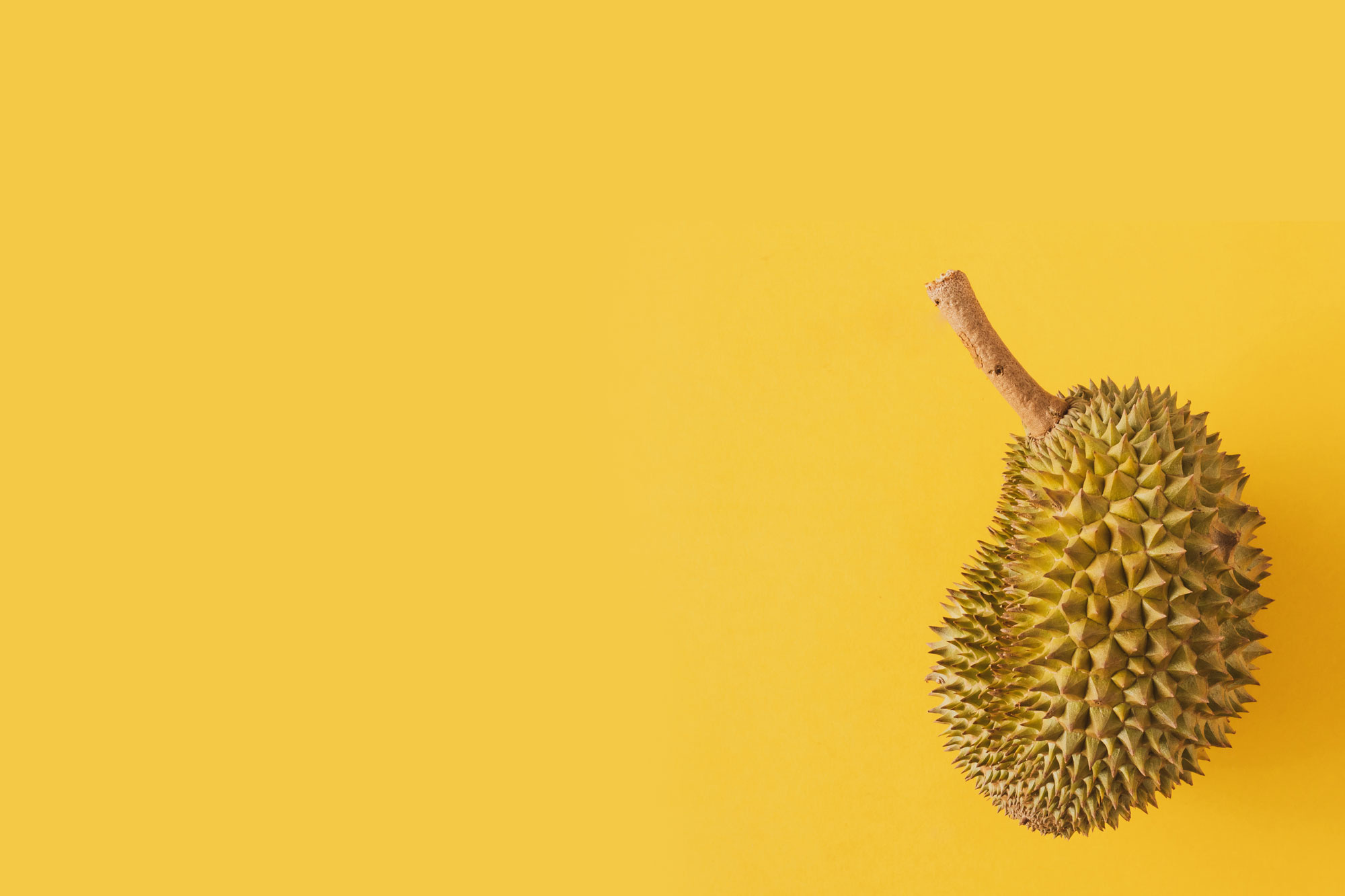 About Durian, Information source, Knowledge hub, Durian facts, 2000x1340 HD Desktop