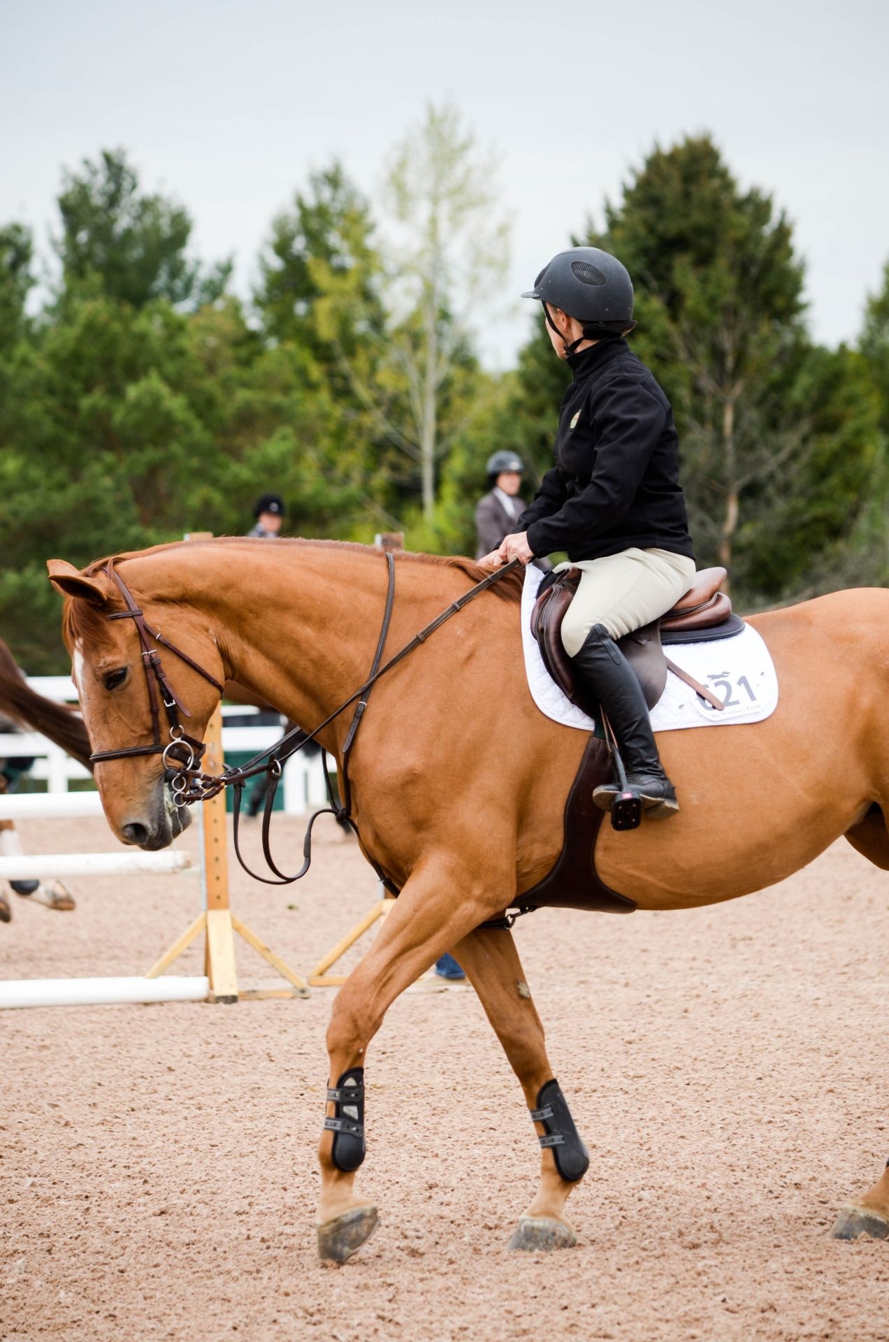 Equestrian ideas, Beautiful horses, Equitation, Horse riding, 1280x1920 HD Phone