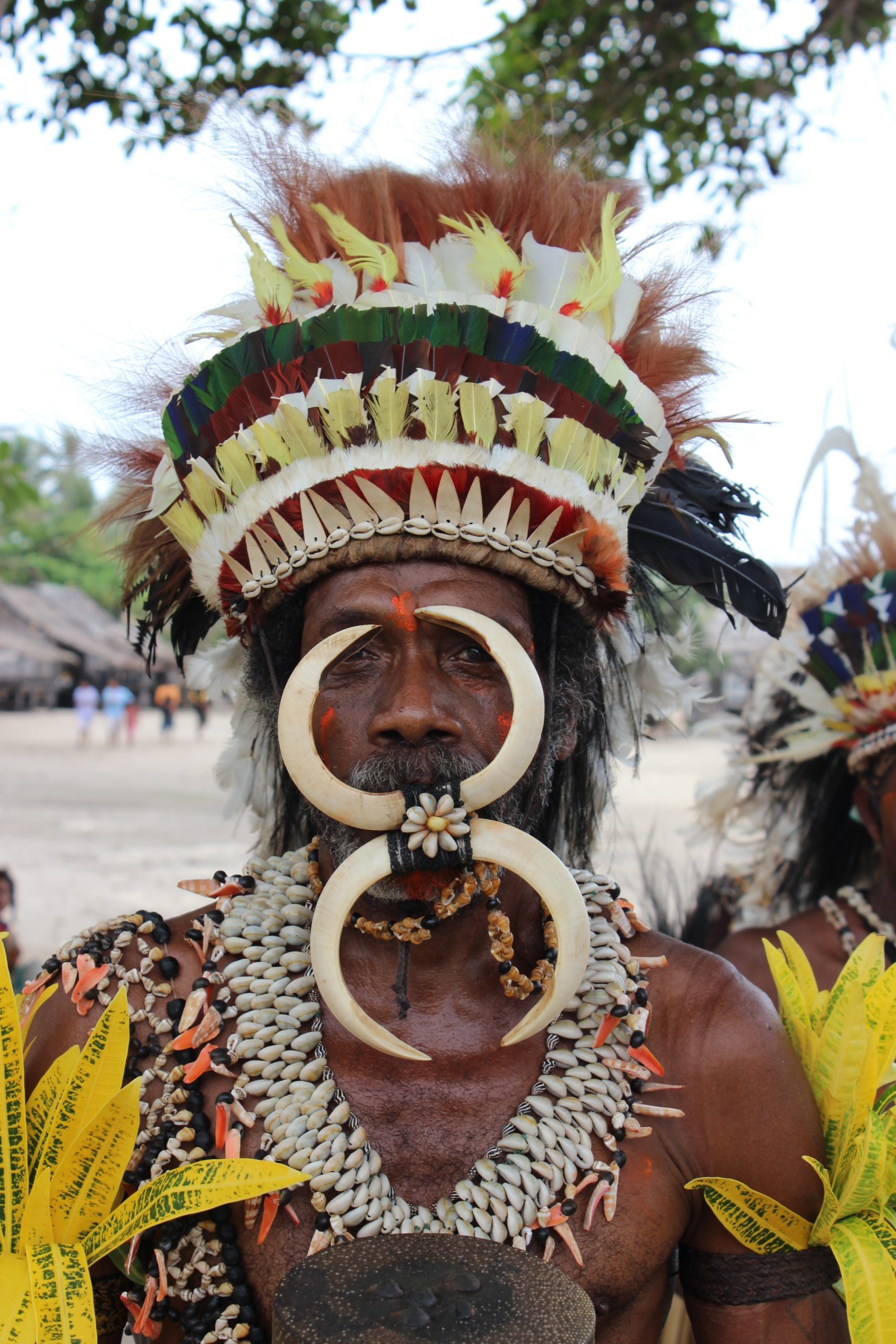 Lost World of Papua New Guinea, Ocean Sailor Magazine, Hidden treasures, 1710x2560 HD Phone