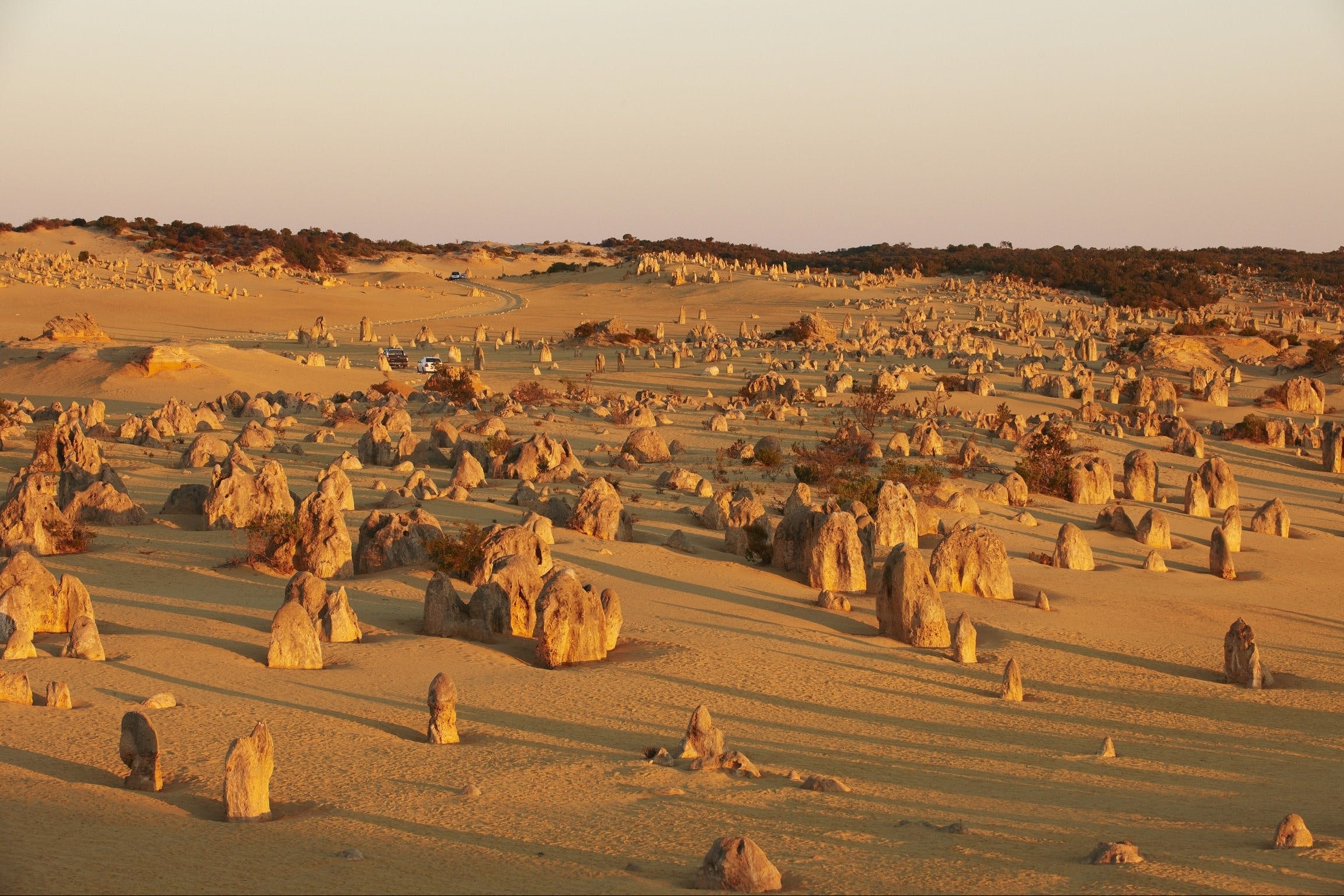 Nambung National Park, Rac Cervantes Holiday Park, Big4, Western Australia, 2310x1540 HD Desktop