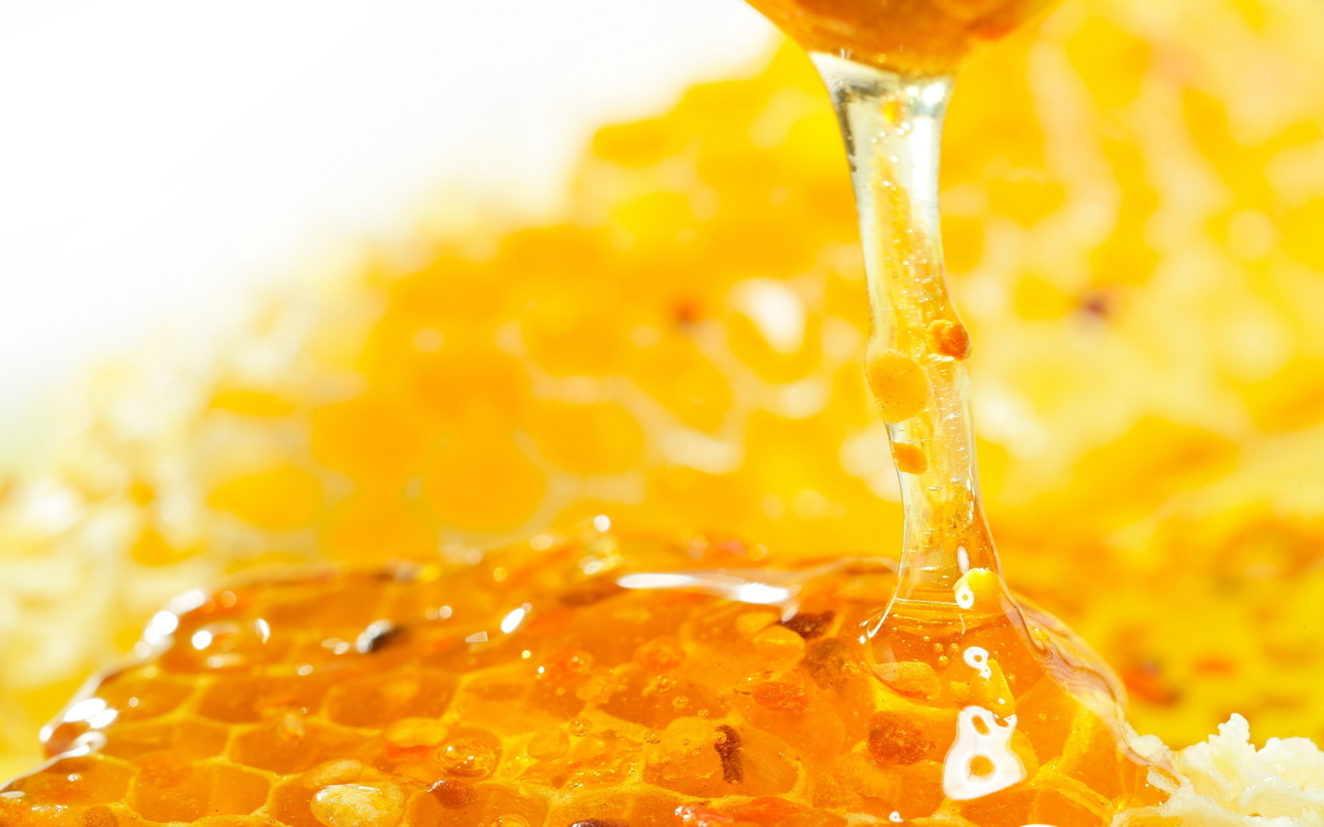 Honey on desktop, Wallpaper option, Sticky screensaver, Eye-catching background, 1920x1200 HD Desktop
