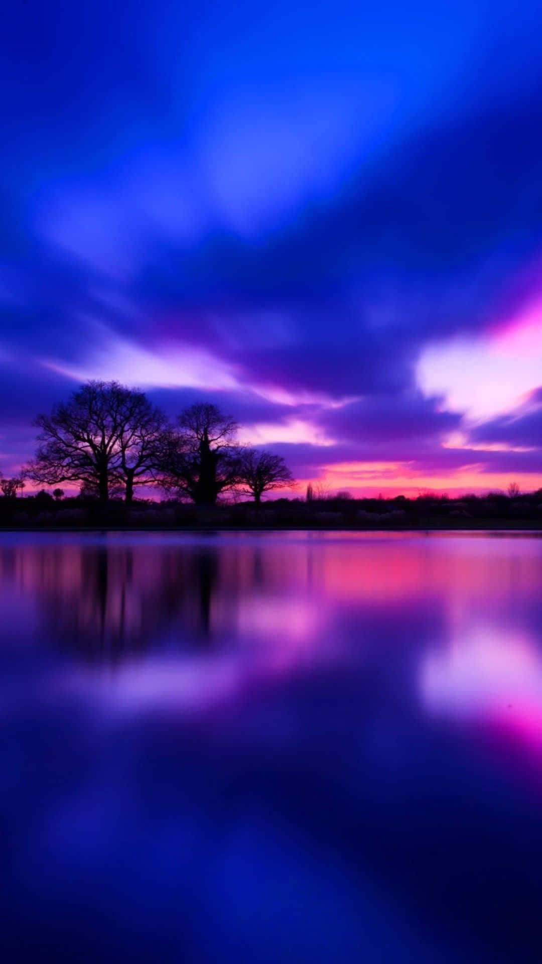 silhouetted bare trees, calm lake reflection, purple twilight sky, Full HD Phone wallpaper