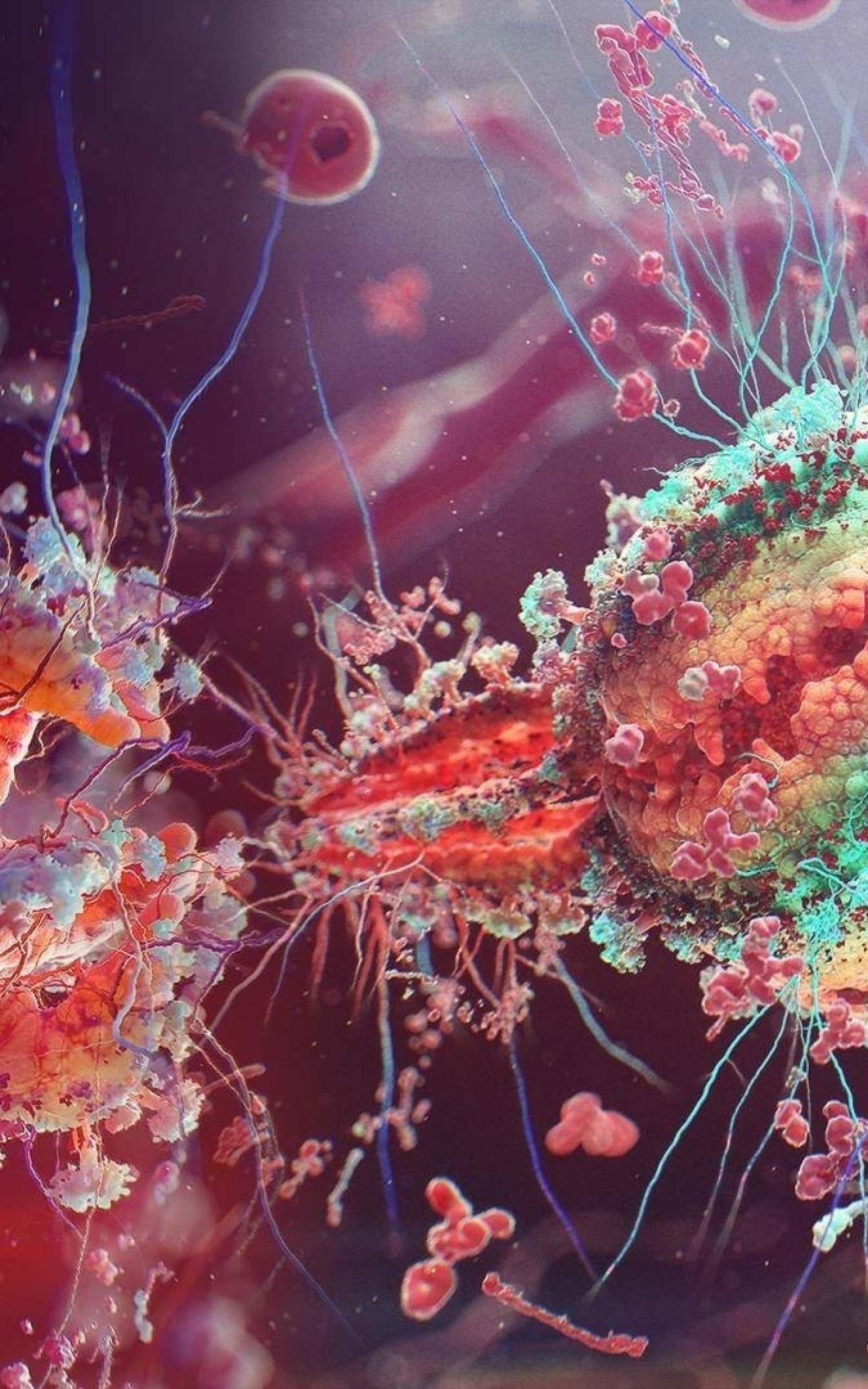Microbiology, Bacterial cultures, Cell division, Laboratory equipment, 1600x2560 HD Phone