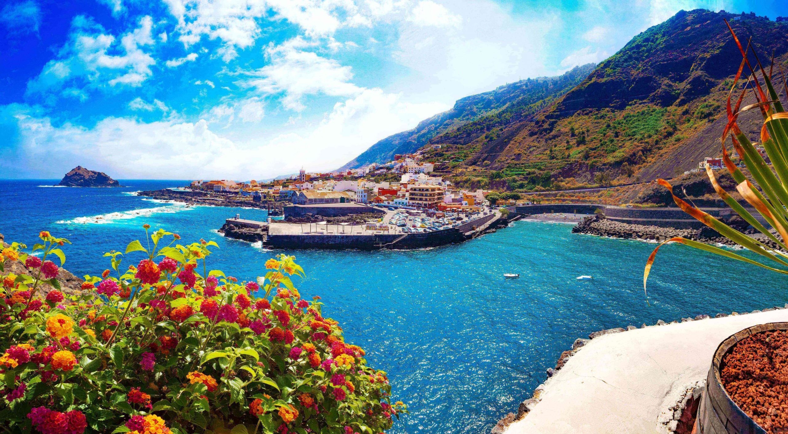 Tenerife, Things to do, Fish insurance, 2560x1410 HD Desktop
