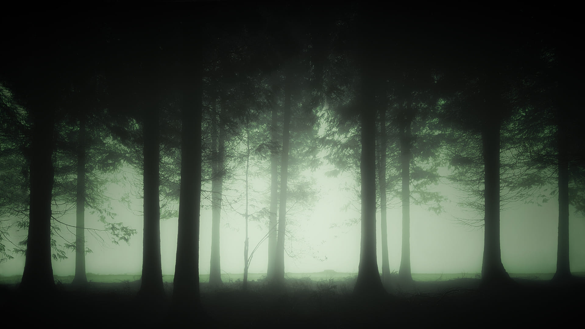dark pine tree silhouettes, eerie glowing green fog, spooky woodland landscape, Full HD Desktop wallpaper