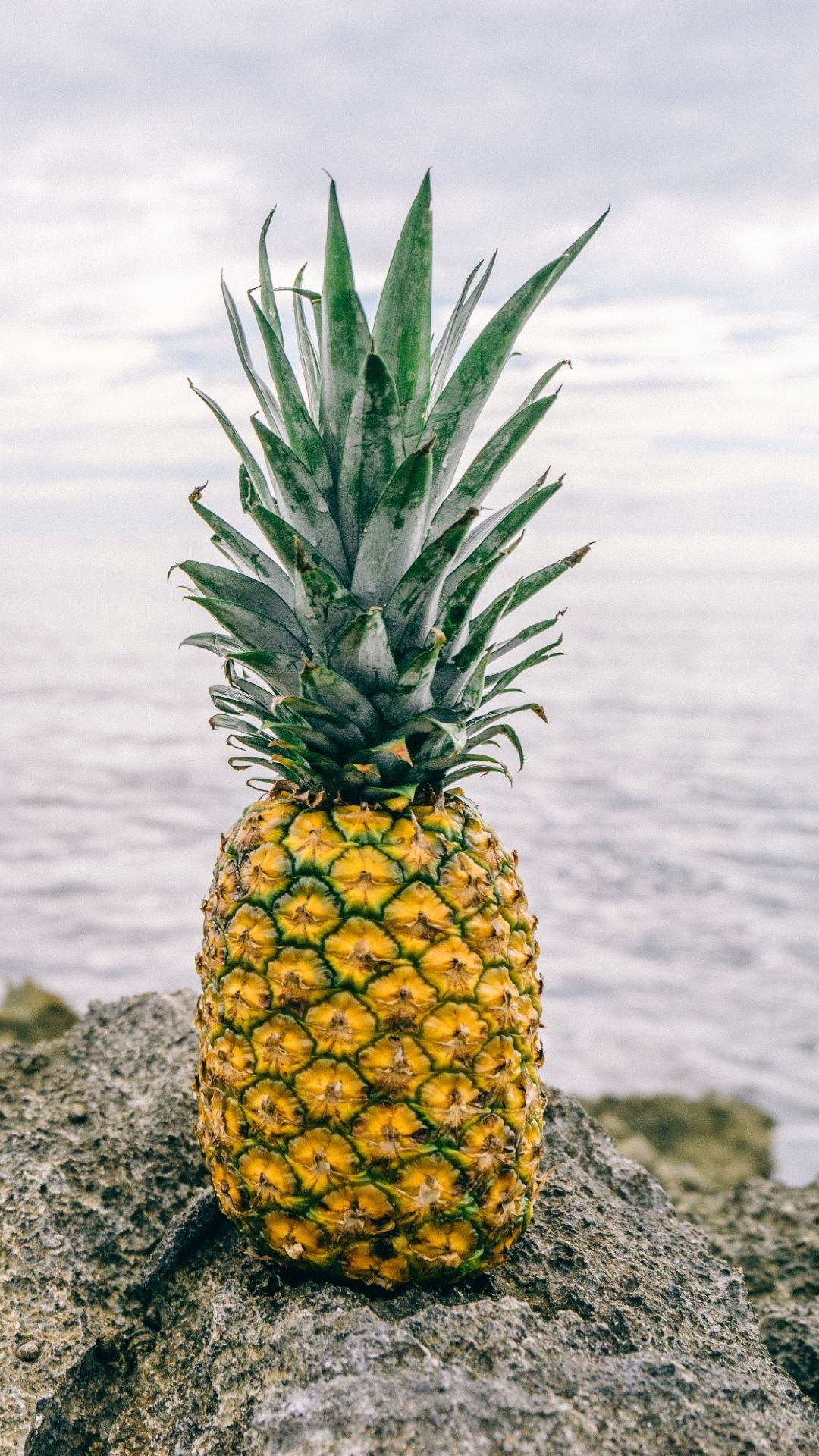 Top 20 pineapple backgrounds, Tropical wallpapers, Fresh and juicy, Exotic fruit, 1080x1920 Full HD Phone