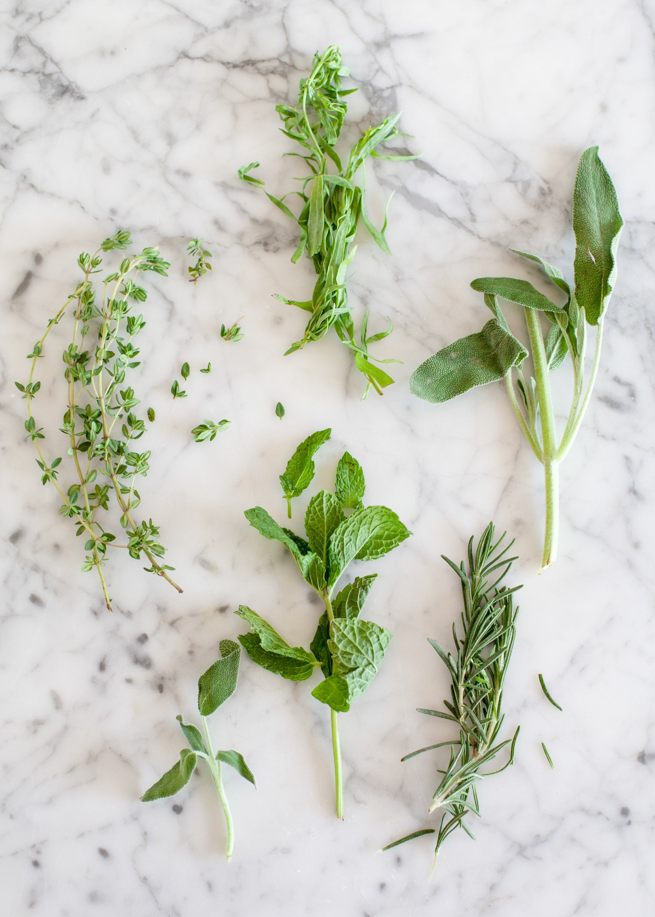 Tarragon herb, Herb stripping techniques, Herb stems, Kitchn, 2150x3000 HD Phone