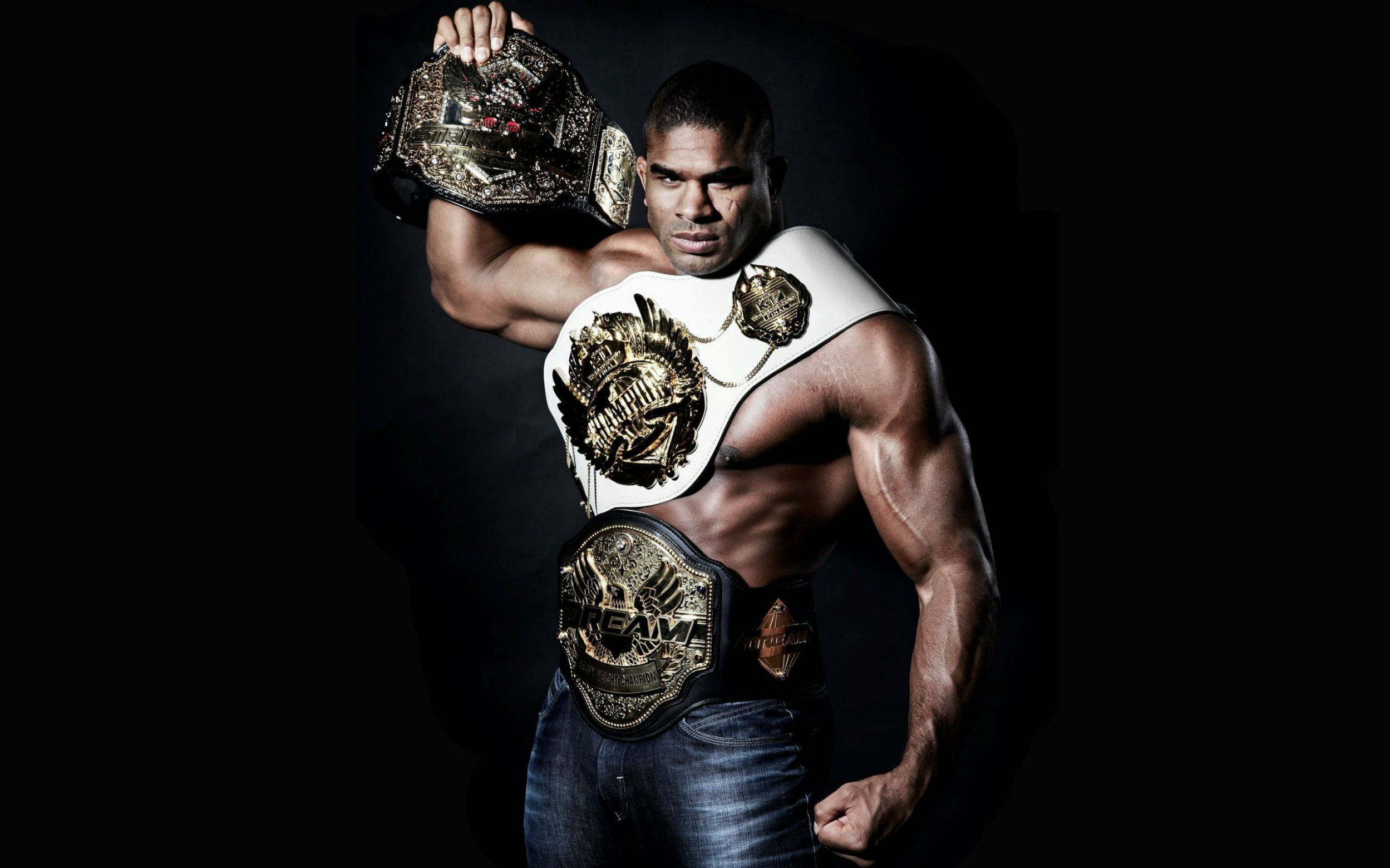 Alistair Overeem, Mixed Martial Arts Wallpaper, 2500x1560 HD Desktop