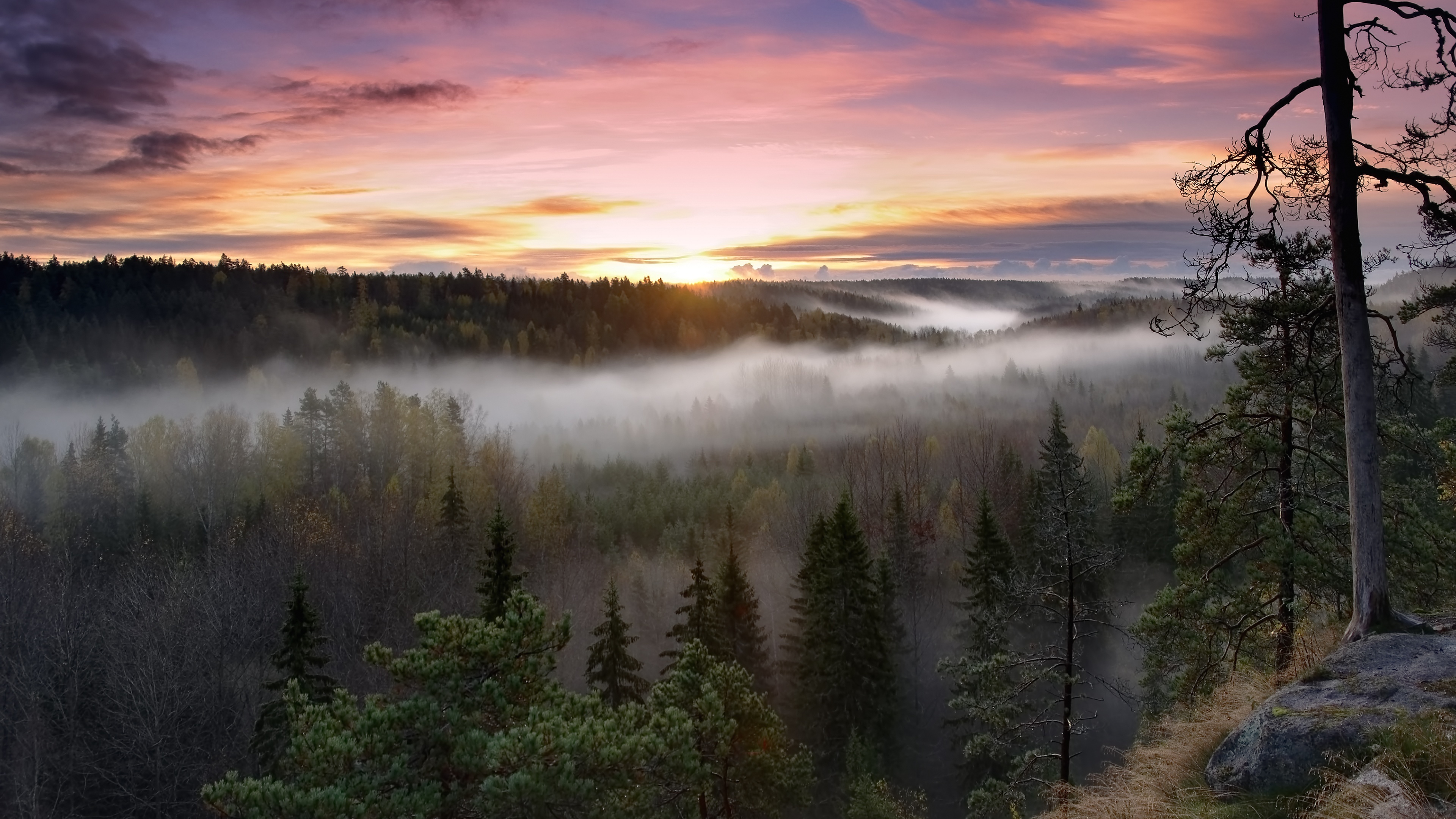 Finland travels, Noux National Park, Foggy sunrise, Green forest, 3840x2160 4K Desktop