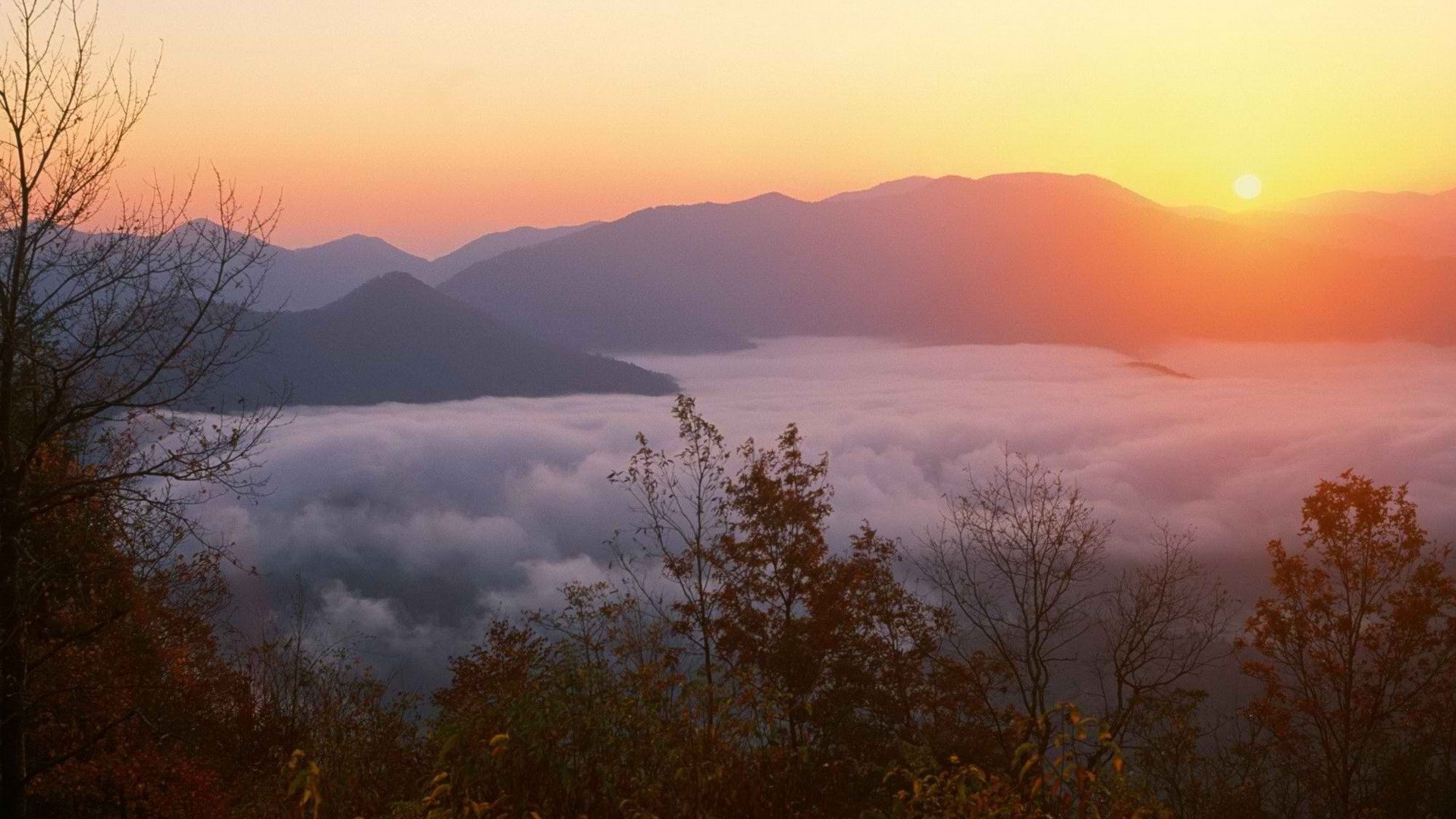 Sunrise in North Carolina, Mountains and forests, Memorial joyce, HD backgrounds, 1920x1080 Full HD Desktop