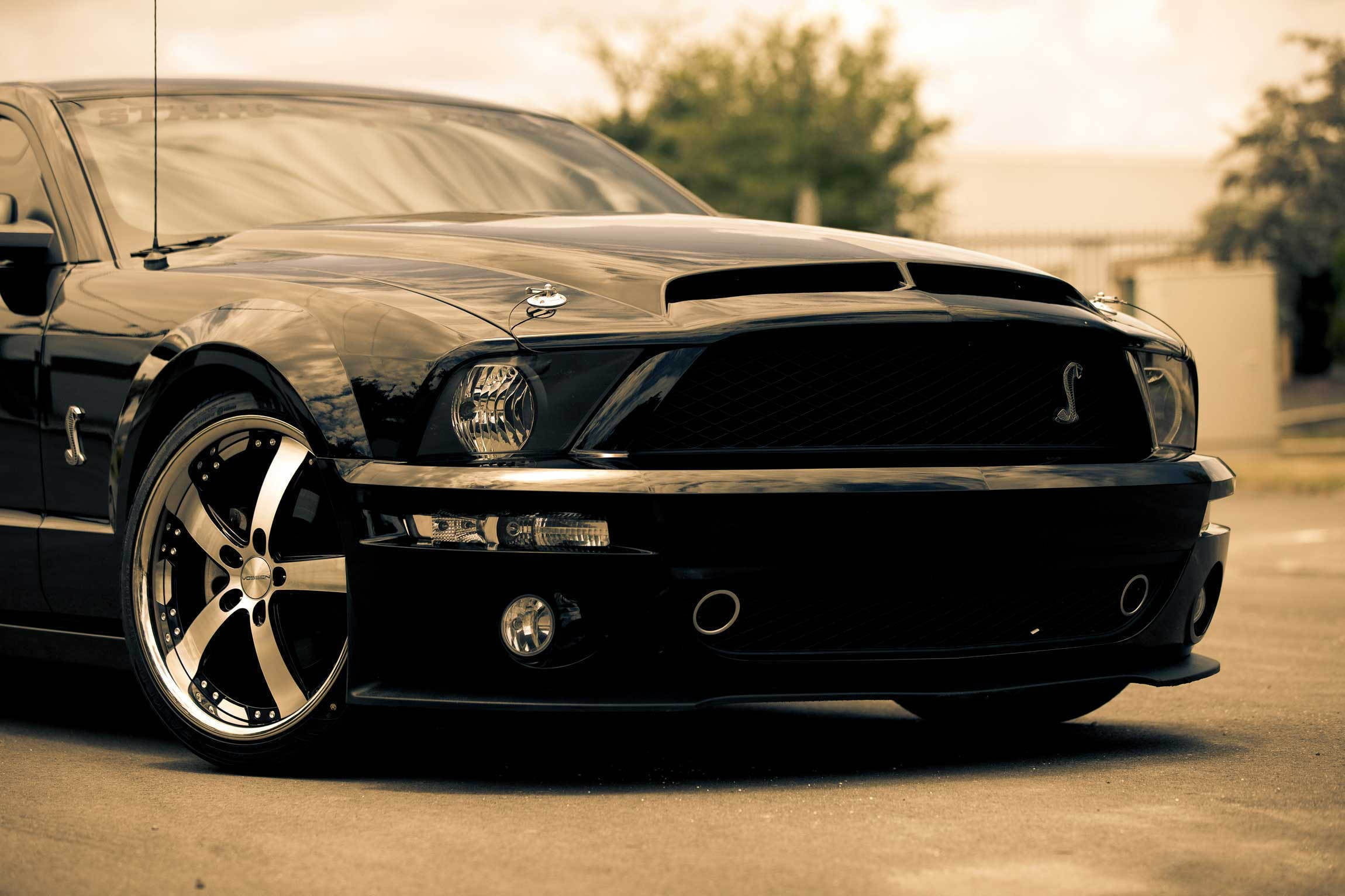 Mustang Cars Hd 2300x1540