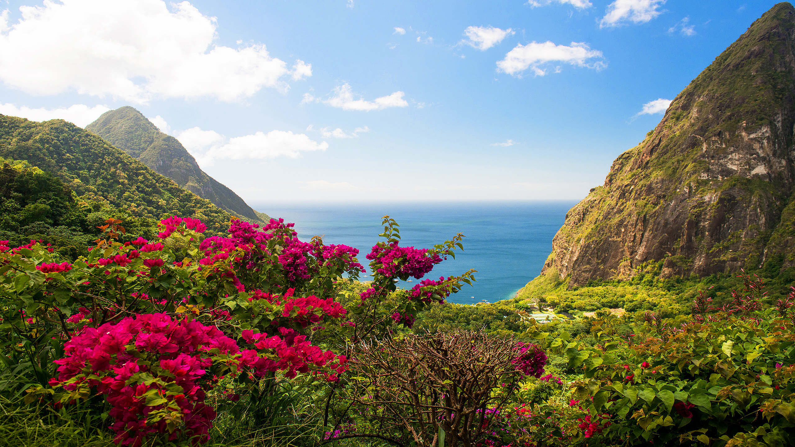 Caribbean Islands, Caribbean islands beauty, St. Lucia beach view, Tropical paradise, 2560x1440 HD Desktop