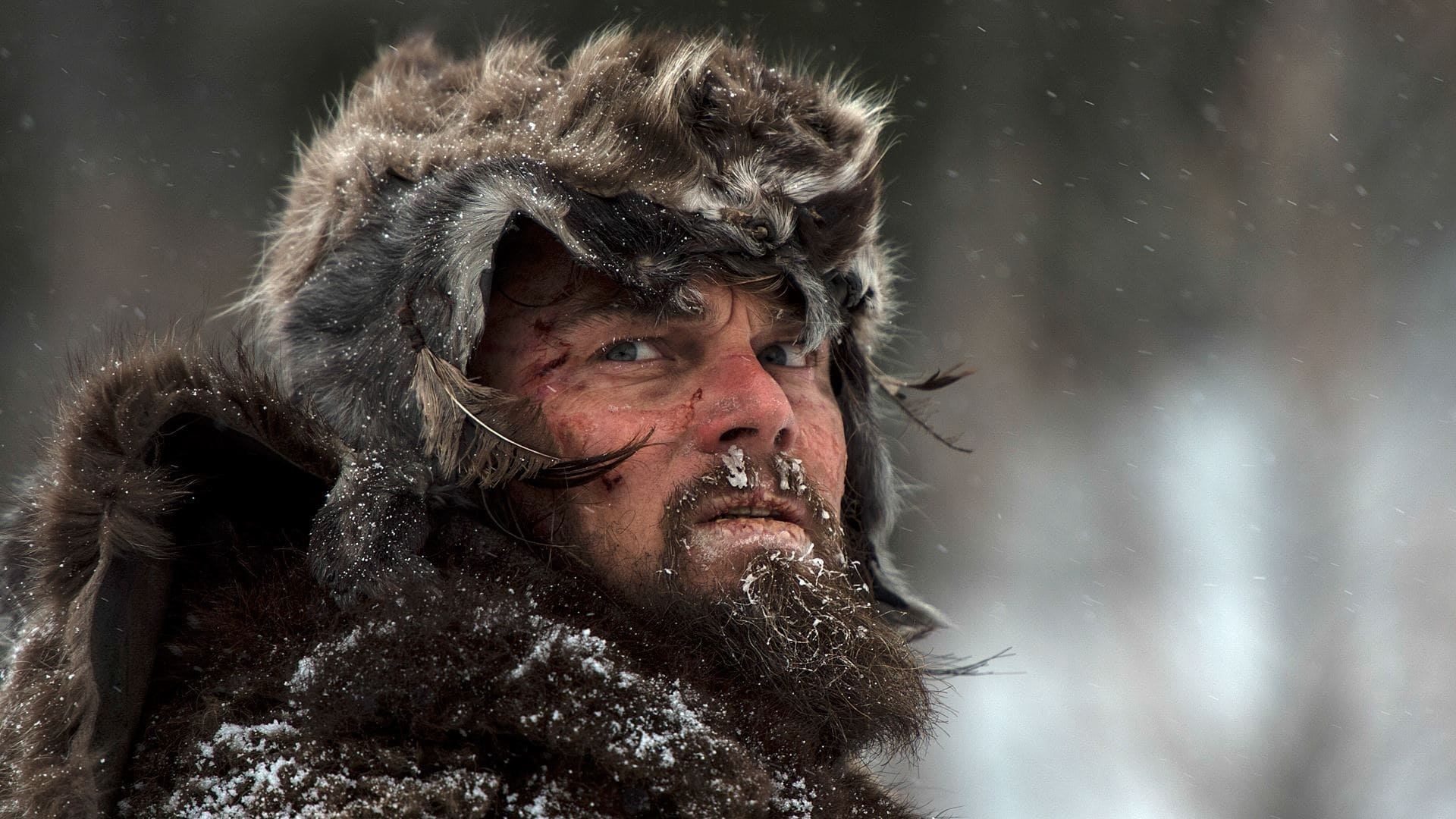 The Revenant, Awe-inspiring backdrops, Cinematic experience, Captivating visuals, 1920x1080 Full HD Desktop