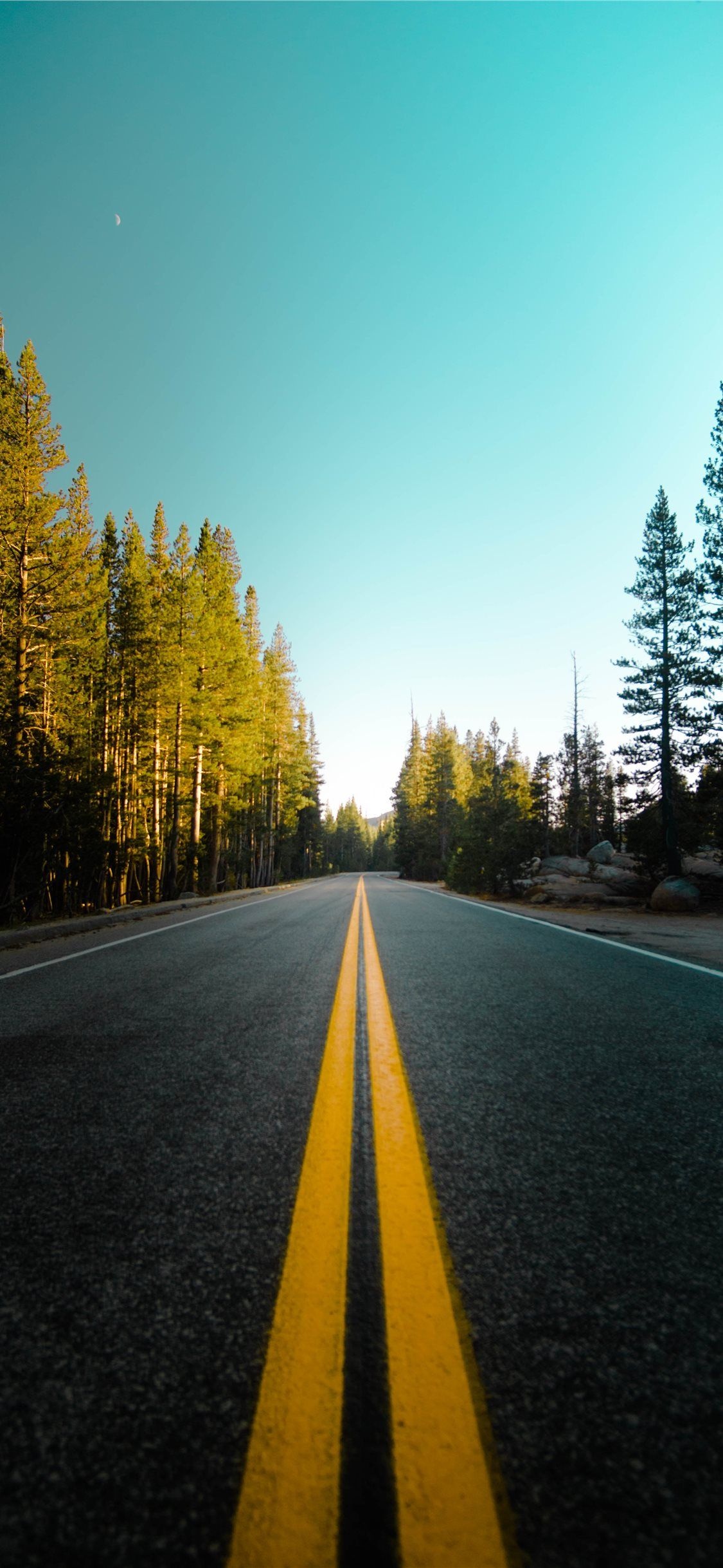 double yellow road lines, pine forest mountain road, crescent moon daytime sky, HD Phone wallpaper