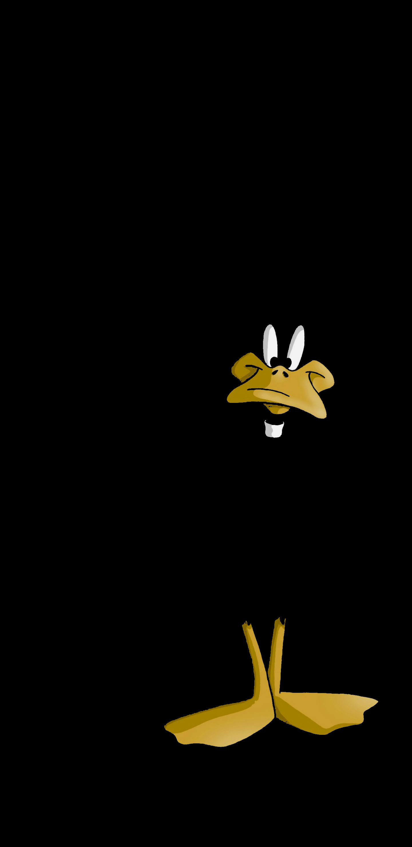 Daffy Duck, Ducks Wallpaper, 1440x2960 HD Phone