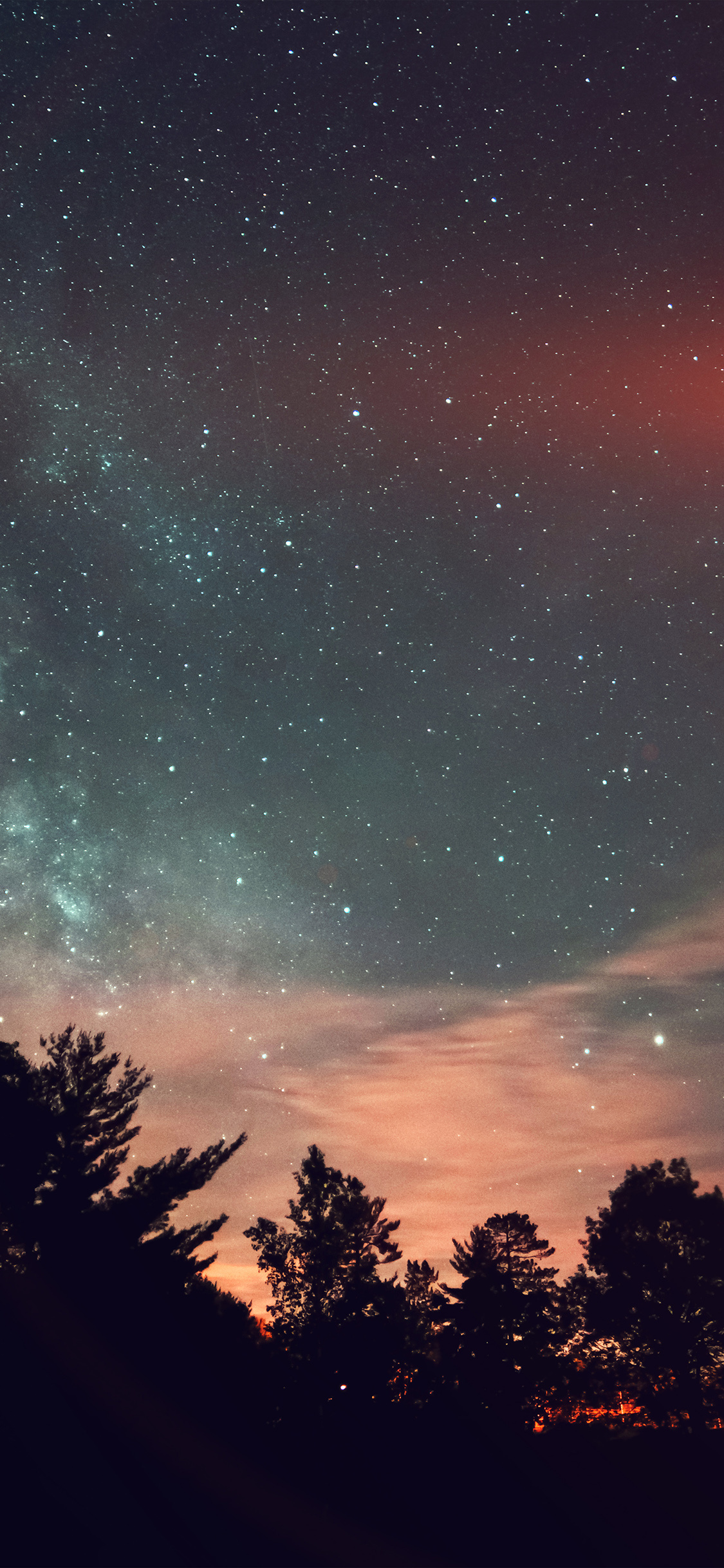 Milky Way starfield, pine tree silhouettes, orange twilight clouds, HD Phone wallpaper
