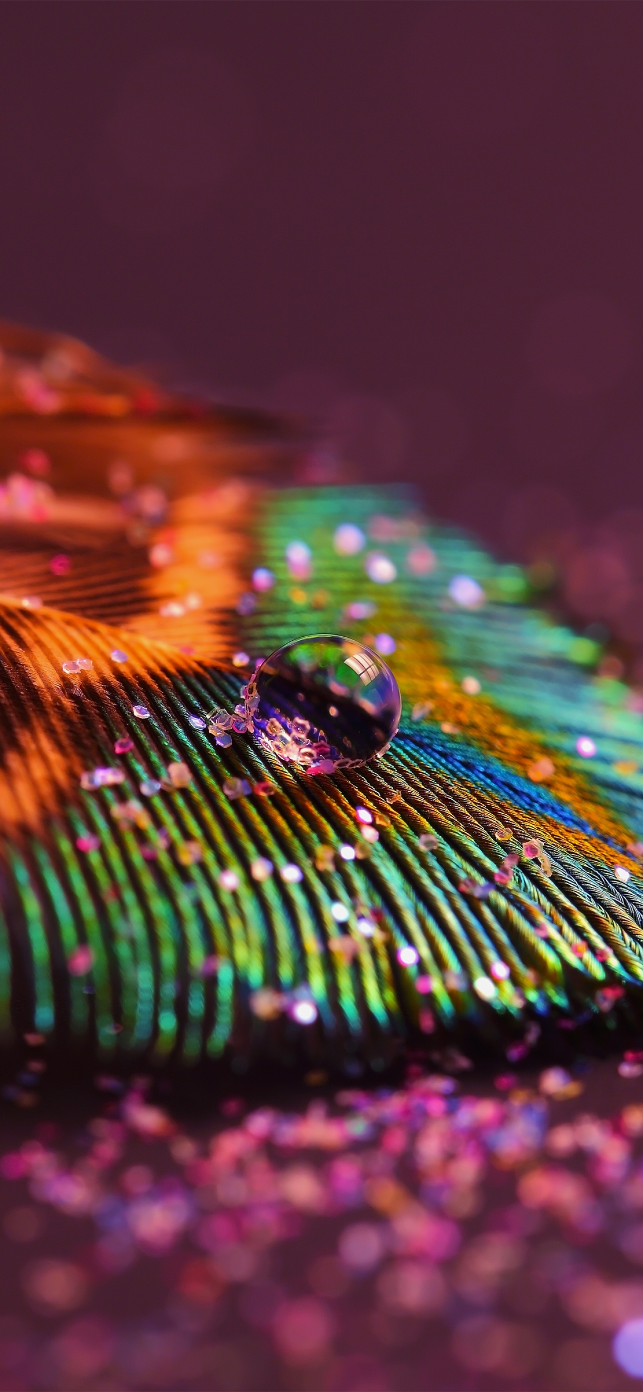 Macro water drop, Peacock feather barbules, Sparkling glitter bokeh, HD Phone wallpaper