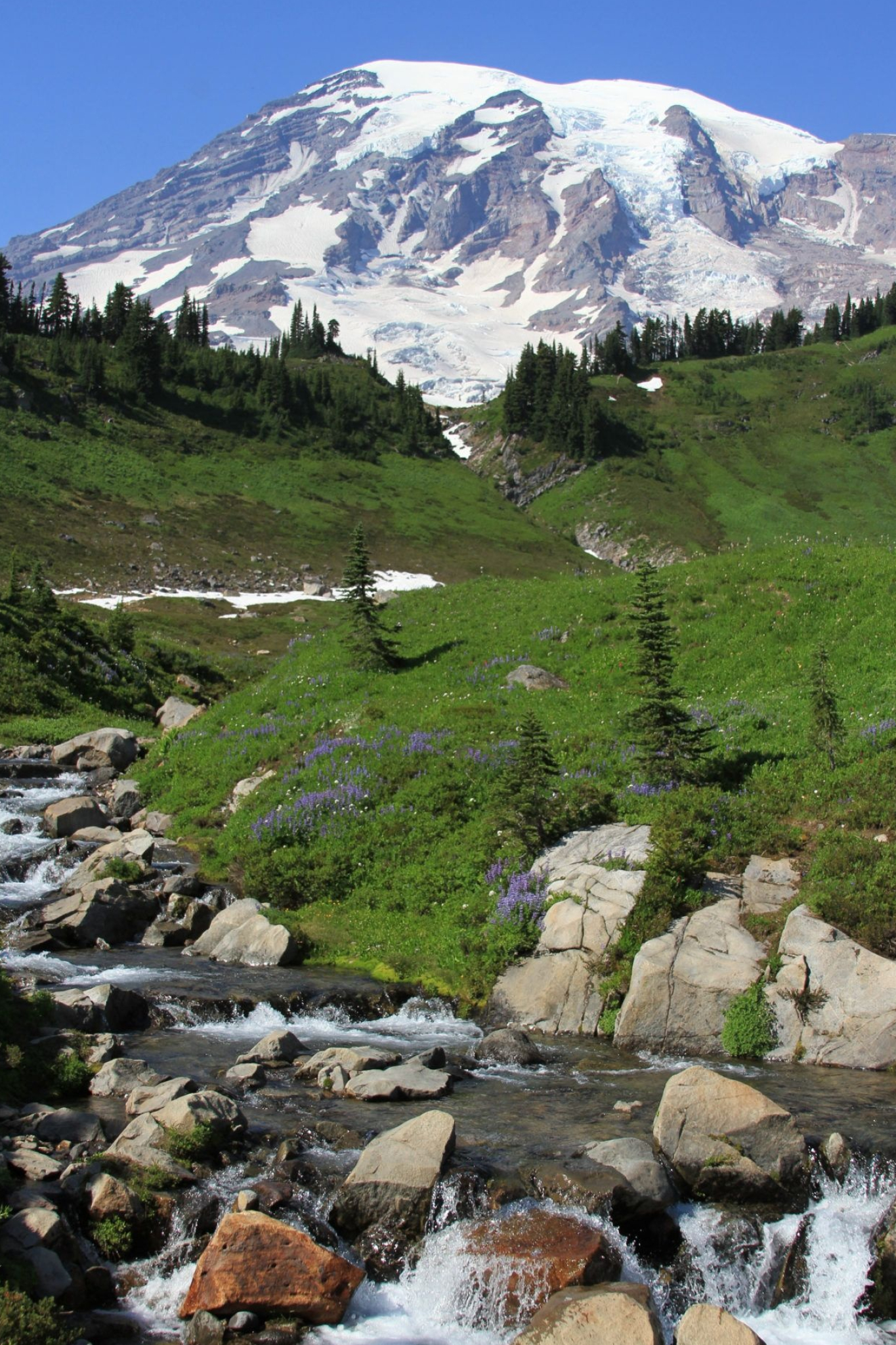 Mount Rainier National Park, Myrtle Falls, Paradise hike, Rainier adventure, 1370x2050 HD Phone