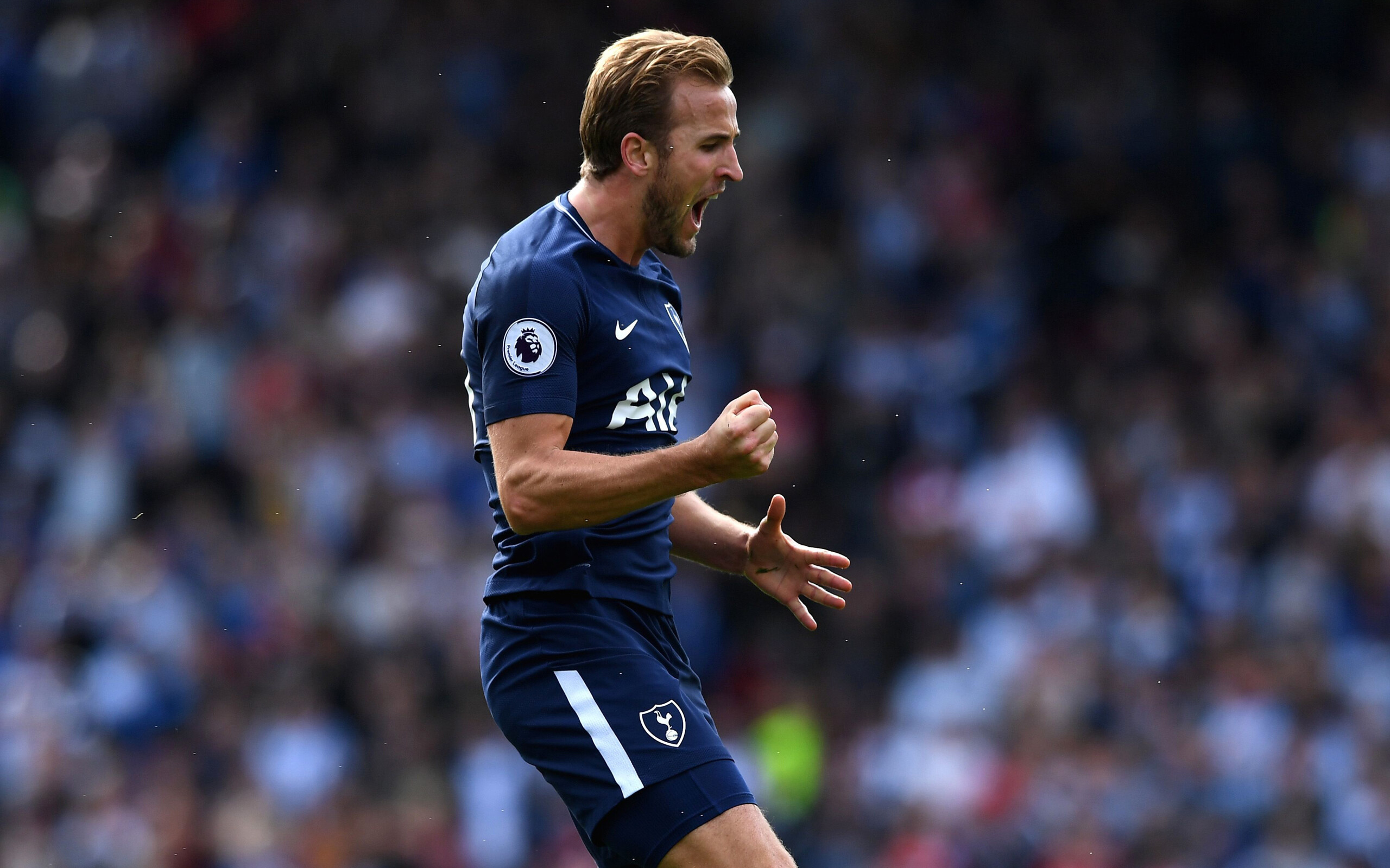 Harry Kane, HD wallpaper, Tottenham Hotspur, Mocah HD wallpapers, 2560x1600 HD Desktop