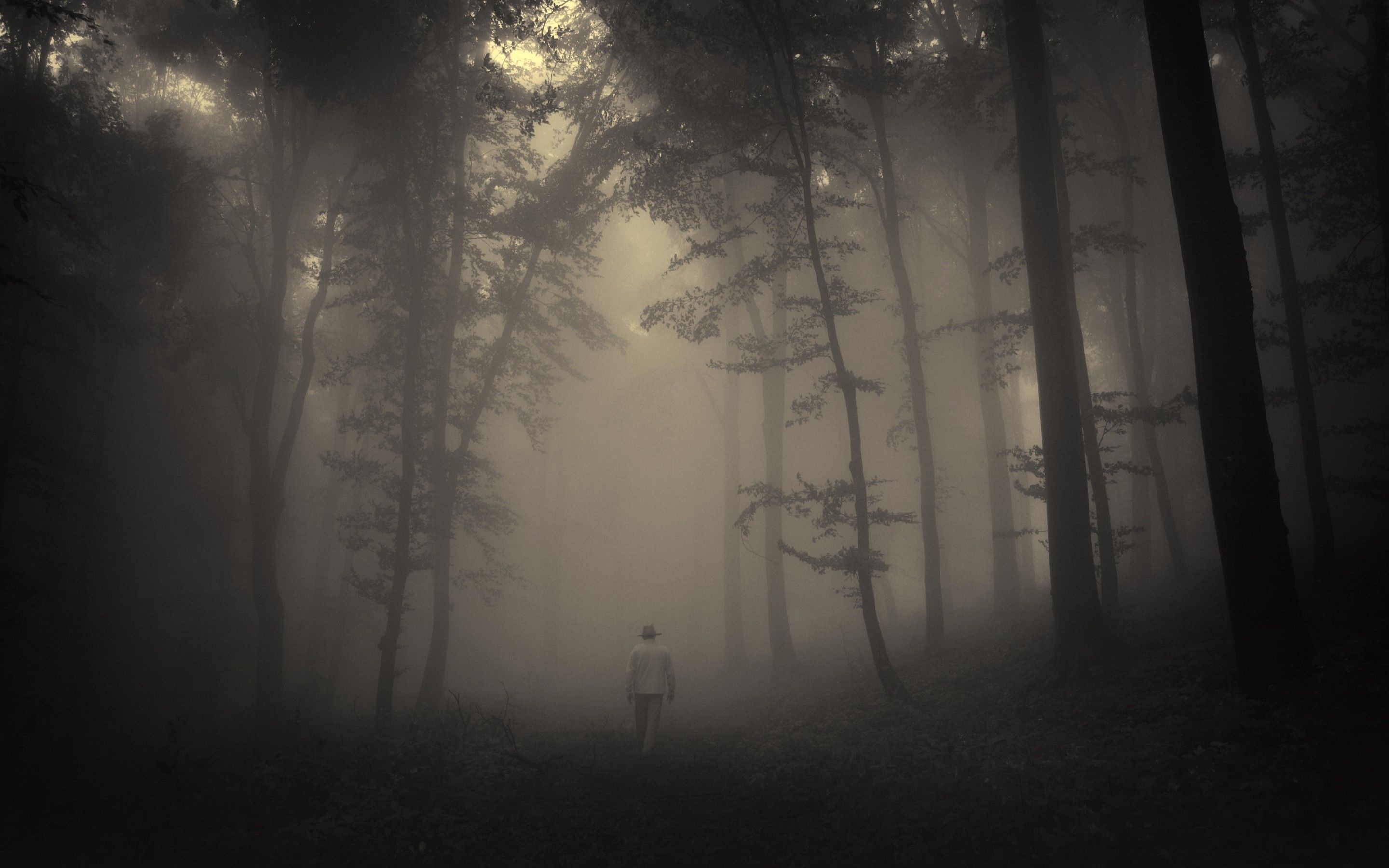 solitary figure in hat, dense foggy dark woods, eerie backlit mist, HD Desktop wallpaper