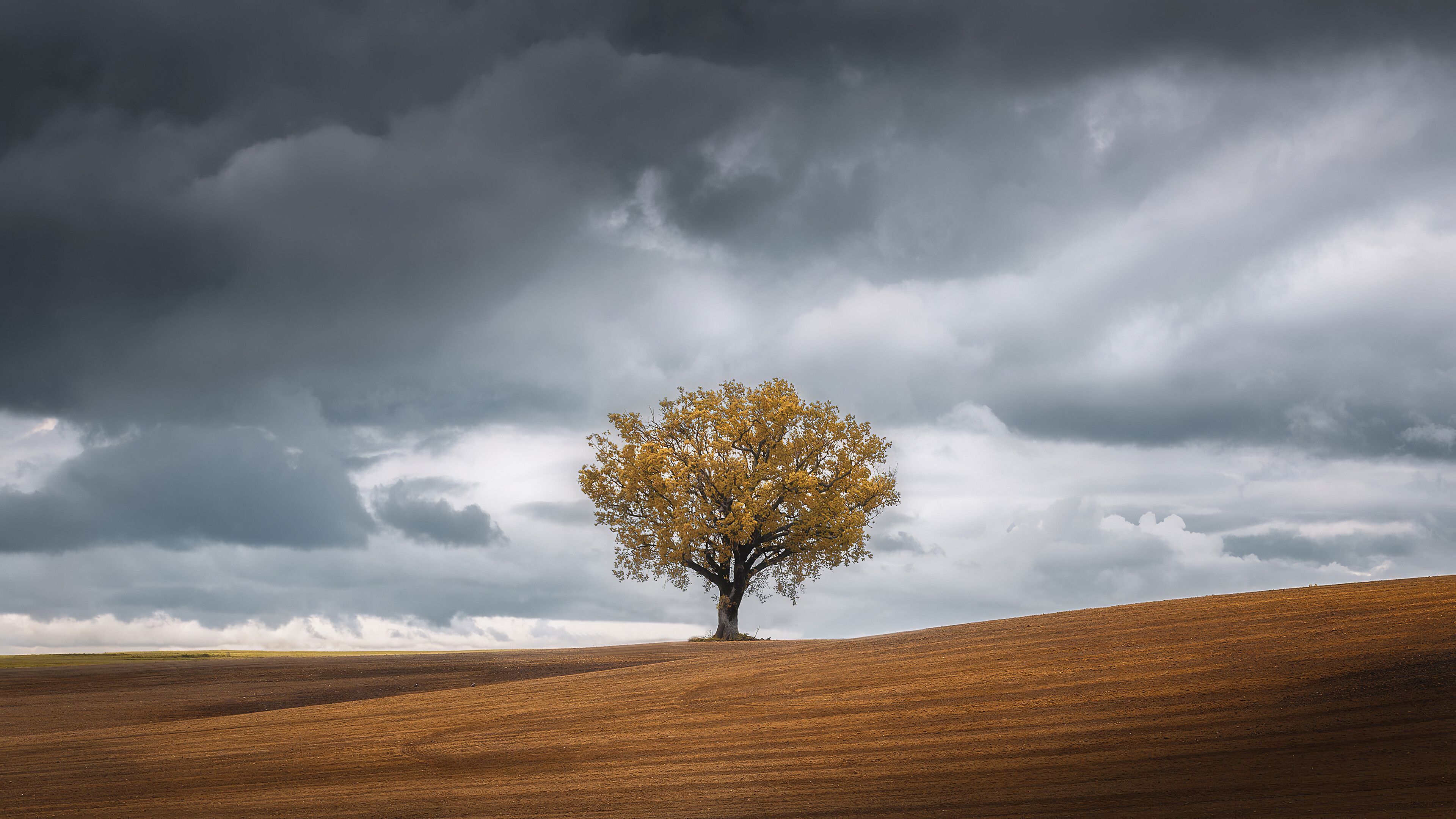 Landscape with trees, Nature's tapestry, Scenic beauty, Majestic views, 3840x2160 4K Desktop