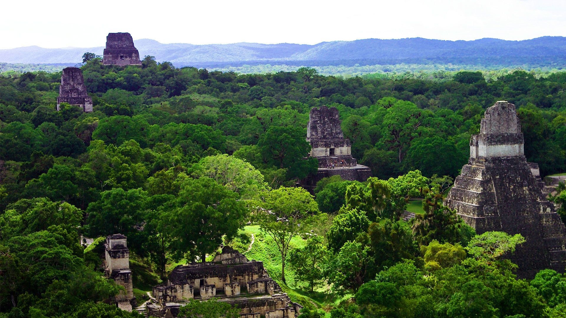 Tikal day tour, Lunch included, Guided exploration, Ancient mysteries, 1920x1080 Full HD Desktop