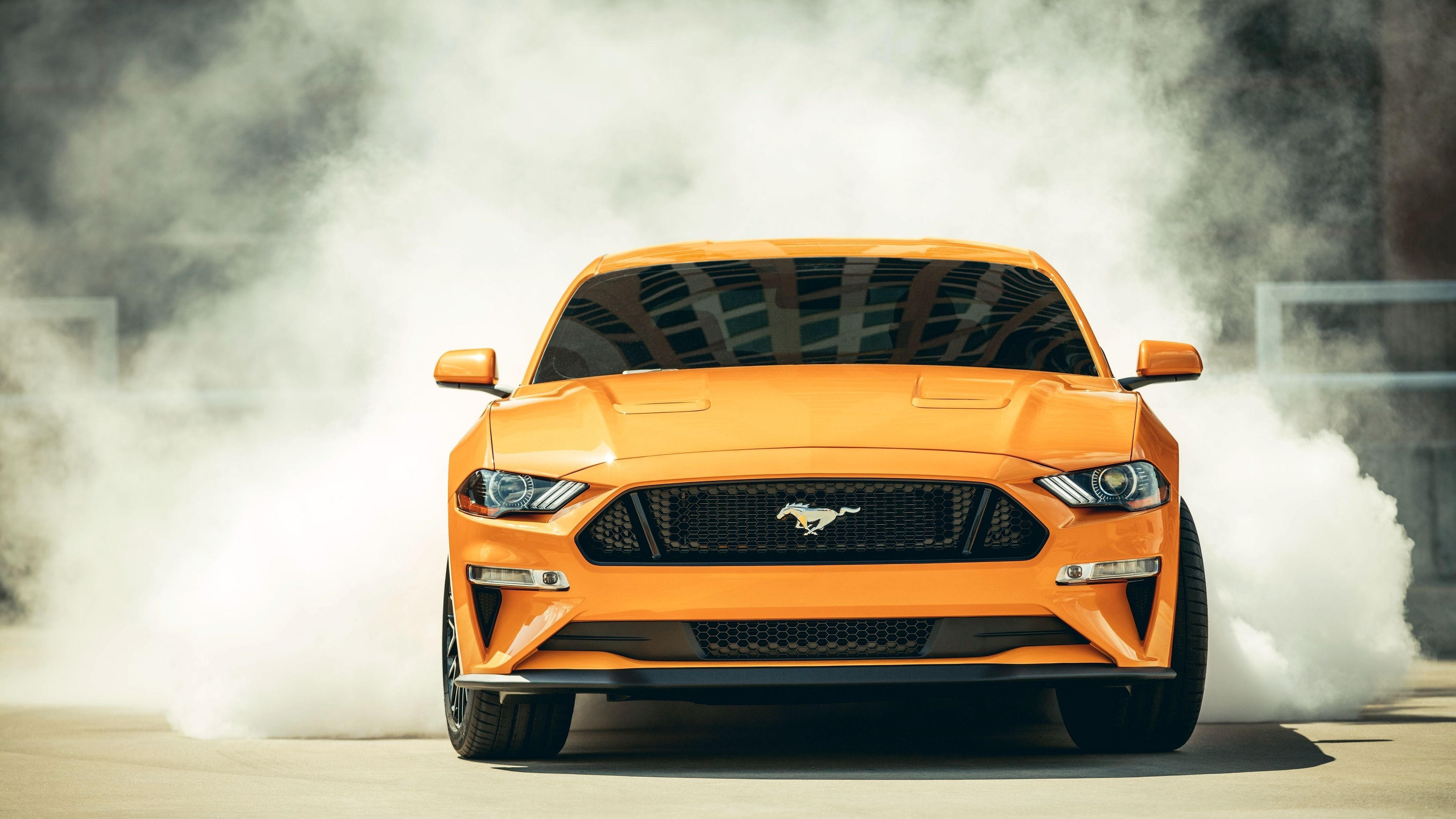Ford Mustang GT, Tire smoke burnout, Mustang pony emblem, 4K Desktop wallpaper