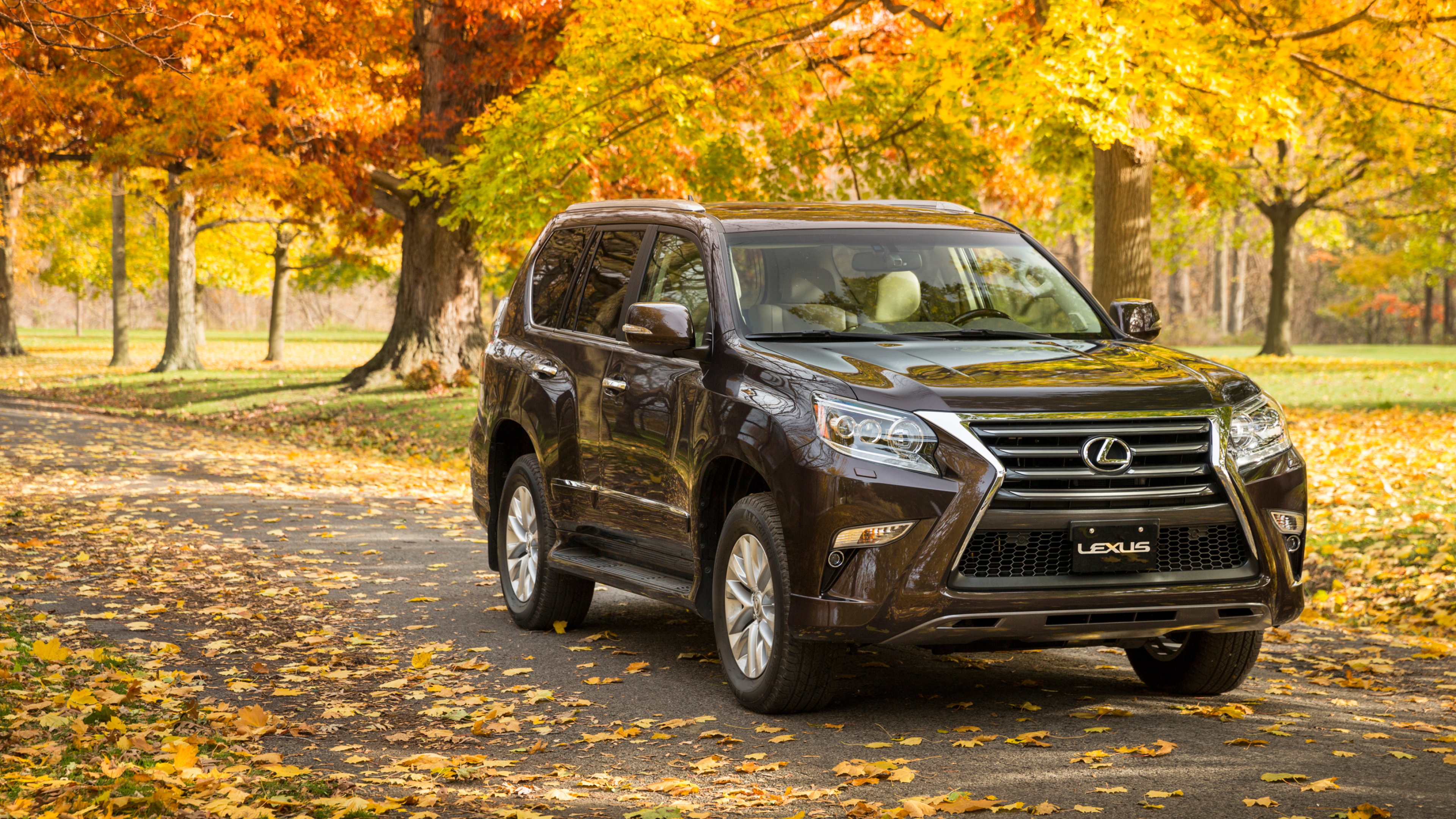 Lexus GX, Striking wallpapers, Captivating GX 460, 3840x2160 4K Desktop