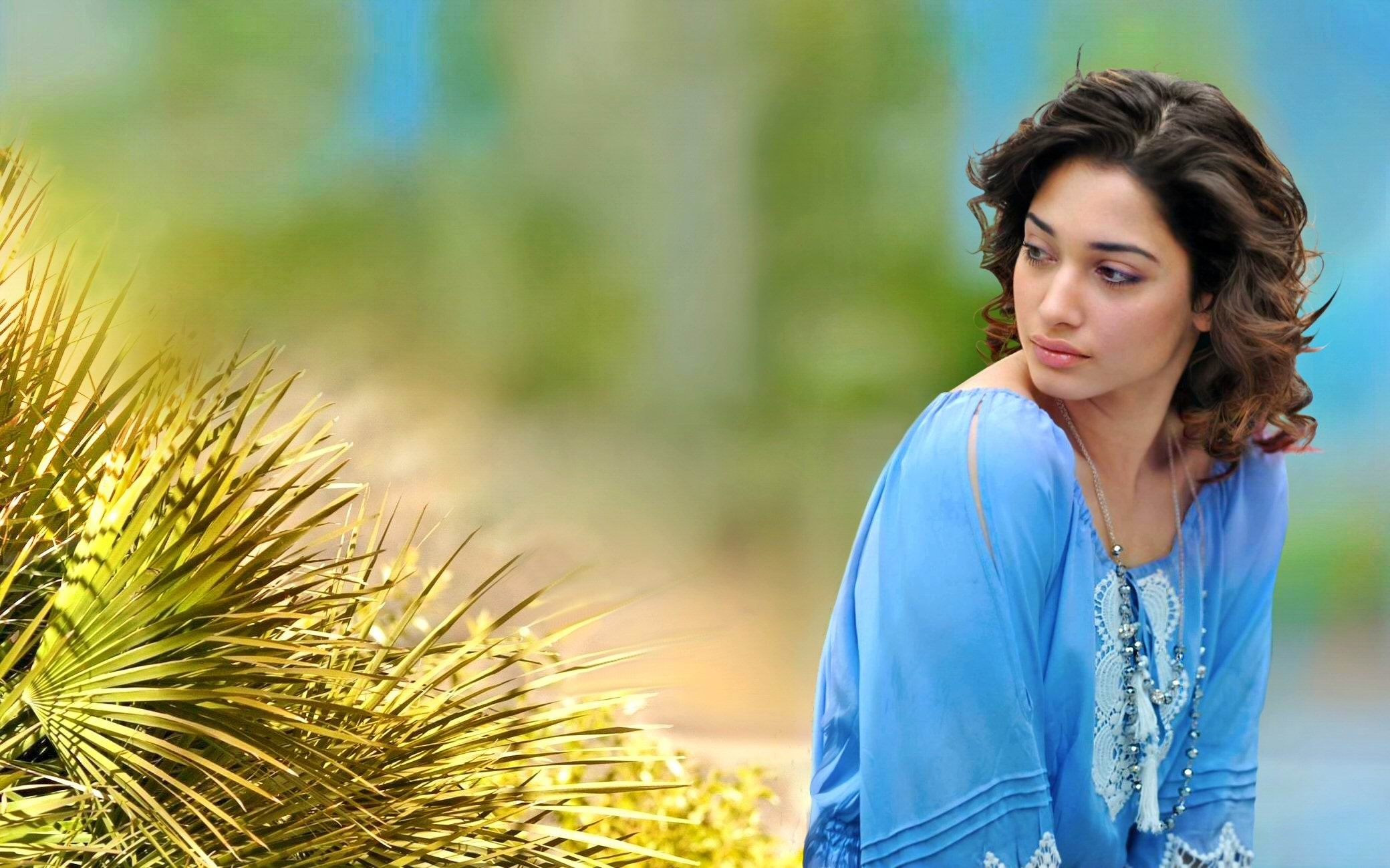 Tamannaah Bhatia, Light blue embroidered top, Sunlit palm fronds, HD Desktop wallpaper