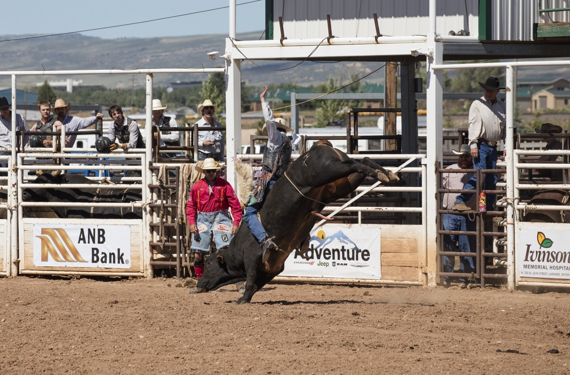 Rodeo bull image, Fierce rodeo display, Thrilling bull taming, Crowd's cheers, 1920x1270 HD Desktop