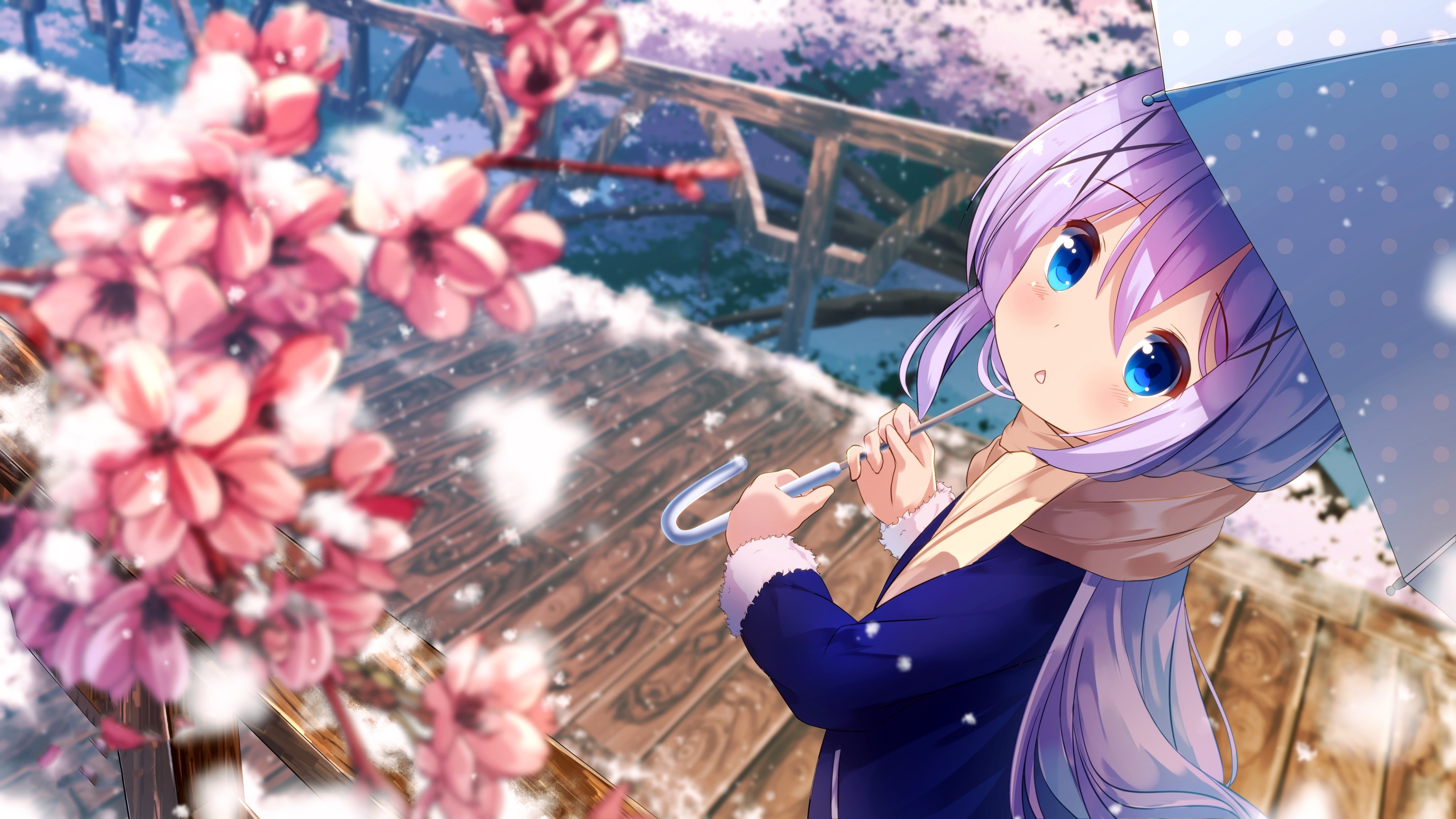 Chino Kafuu, Pretty Backgrounds Wallpaper, 3840x2160 4K Desktop