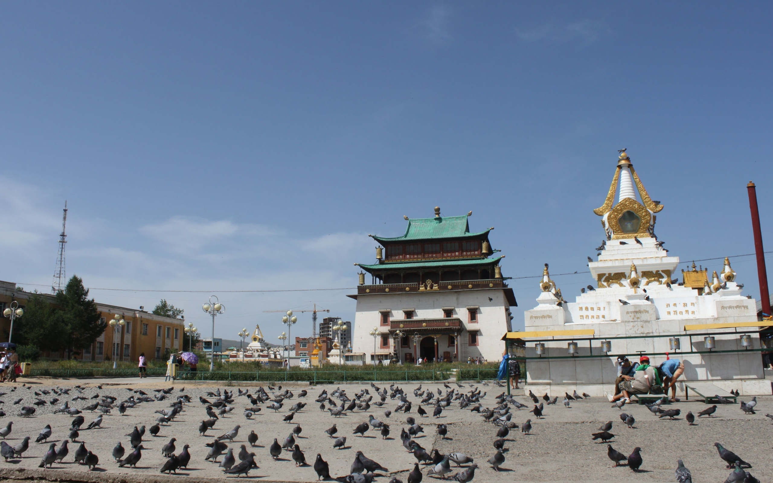 Gandantegchinlen Monastery, Mongolia Wallpaper, 2560x1600 HD Desktop