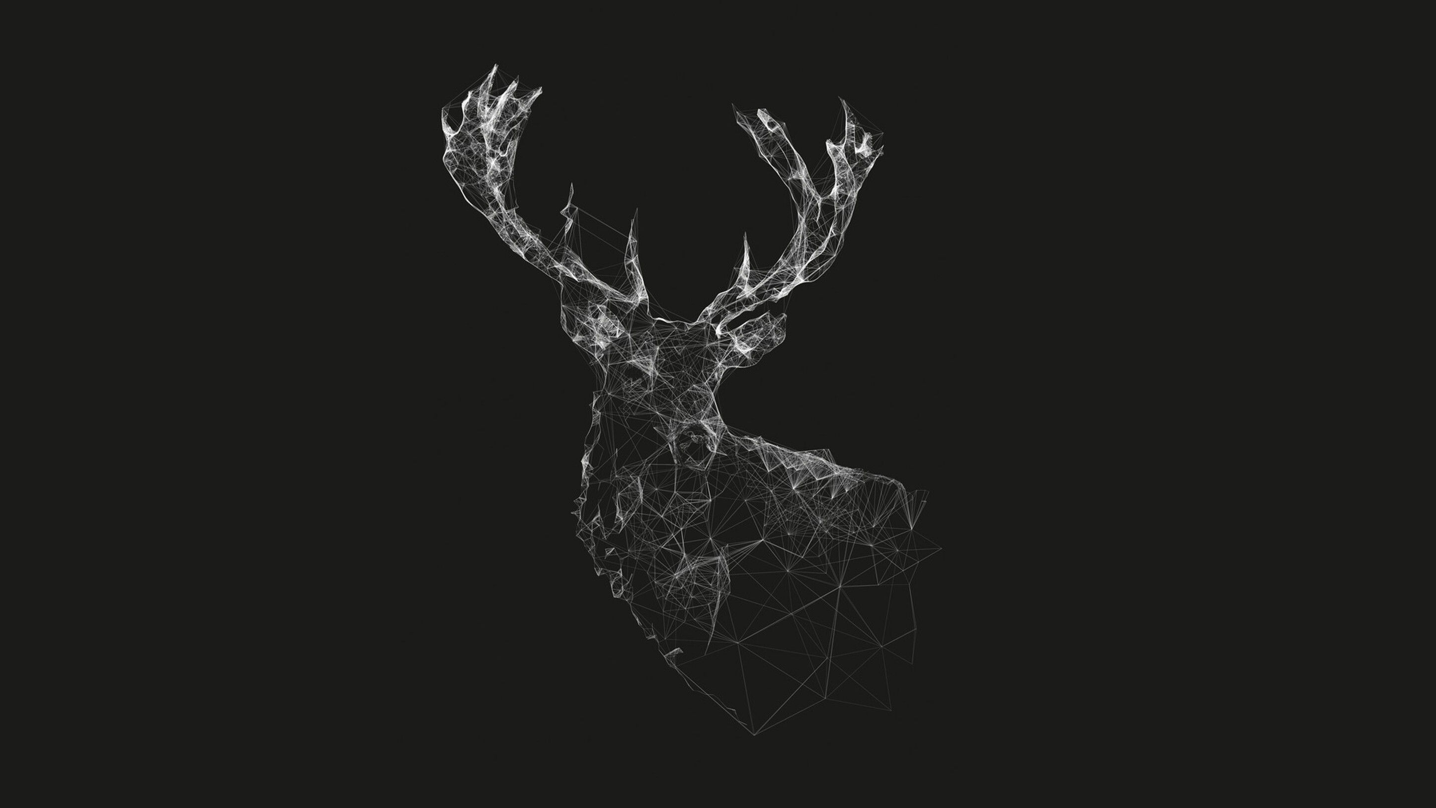 Dark deer wallpapers, 4K HD, 2890x1630 HD Desktop