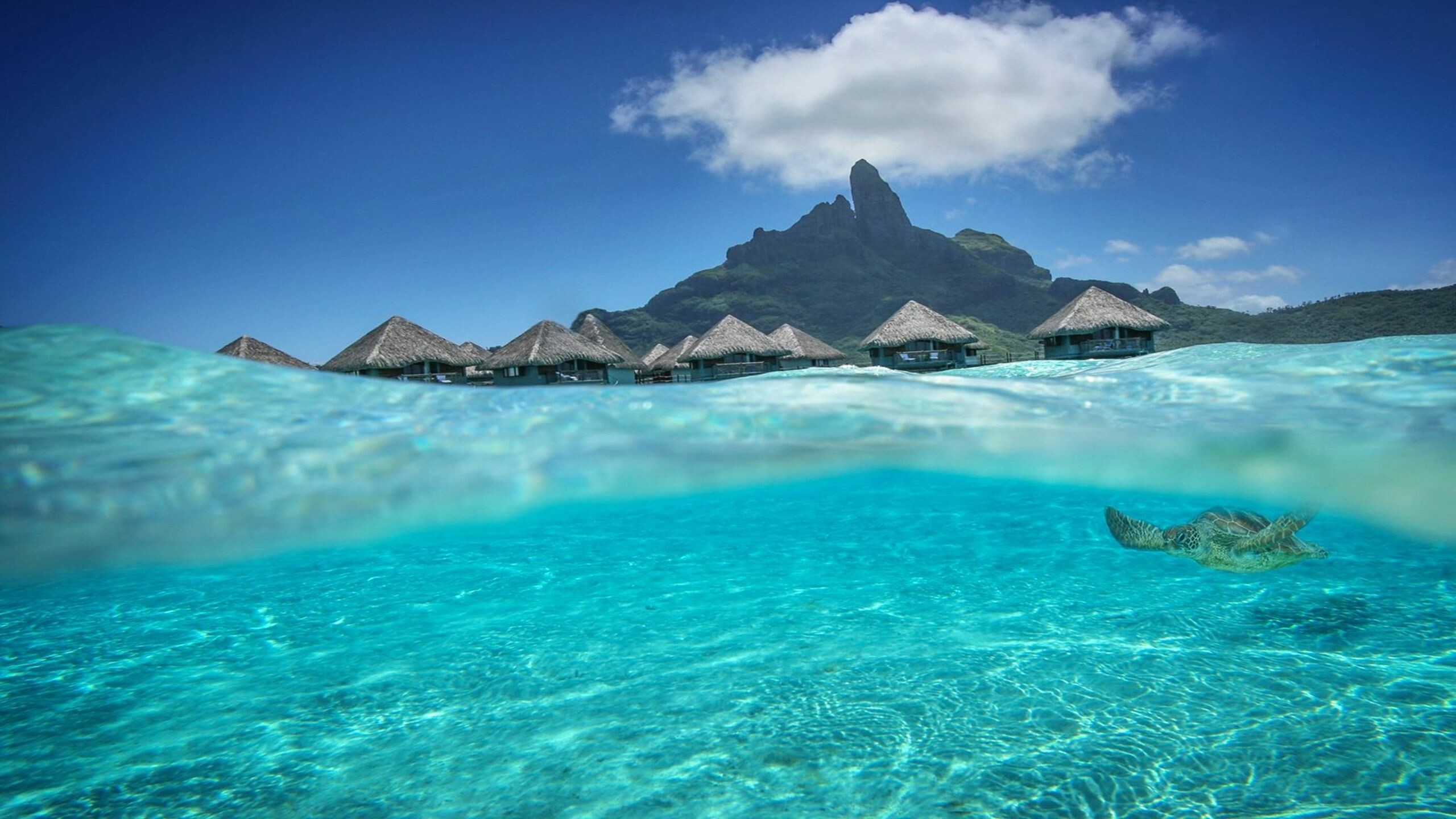 Bora Bora windows wallpapers, Tropical paradise, Crystal clear waters, Exotic destination, 2560x1440 HD Desktop