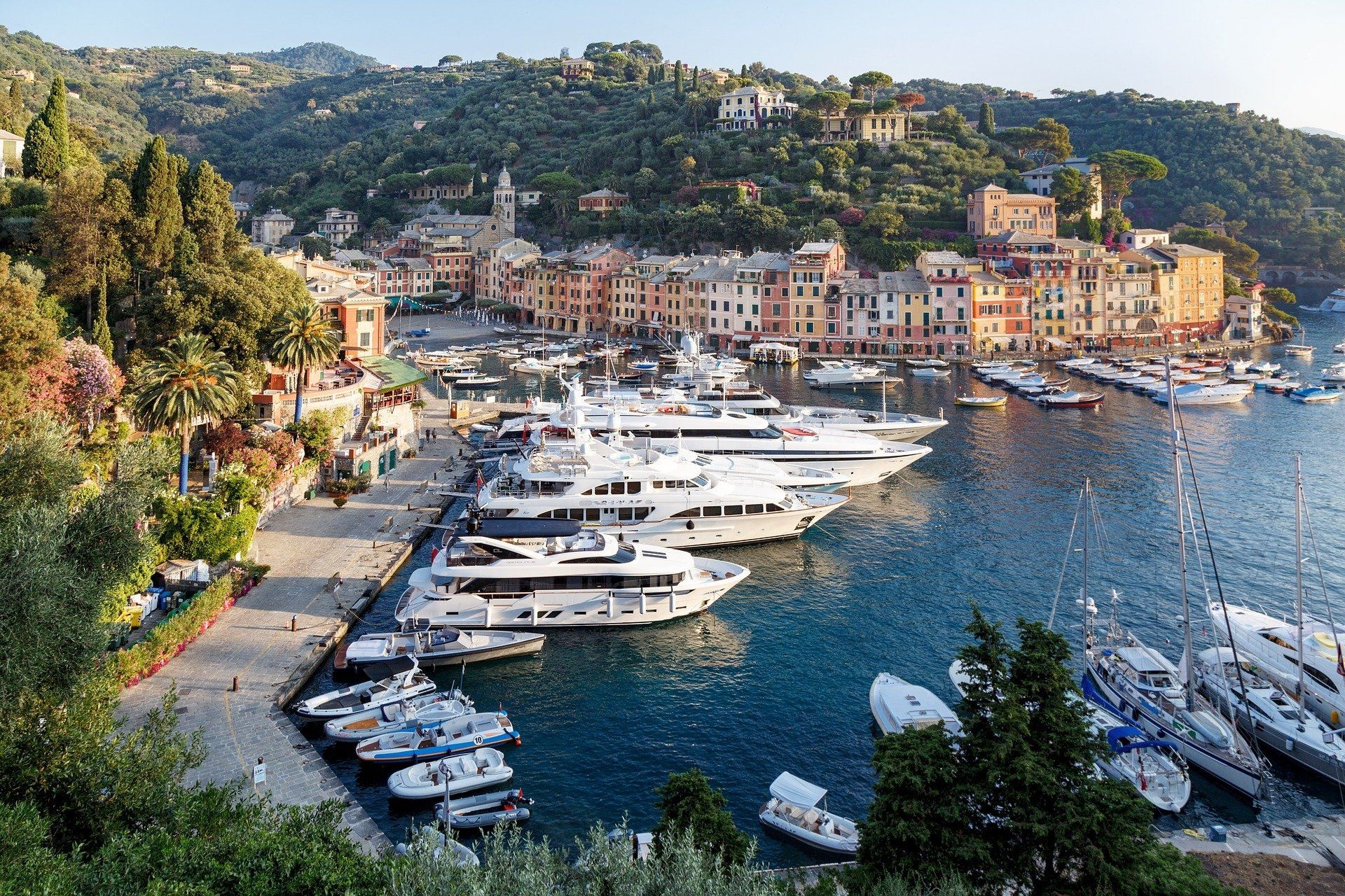 Portofino Italy, Evergreen shrub, Rosmarin, Mediterranean flora, 1920x1280 HD Desktop