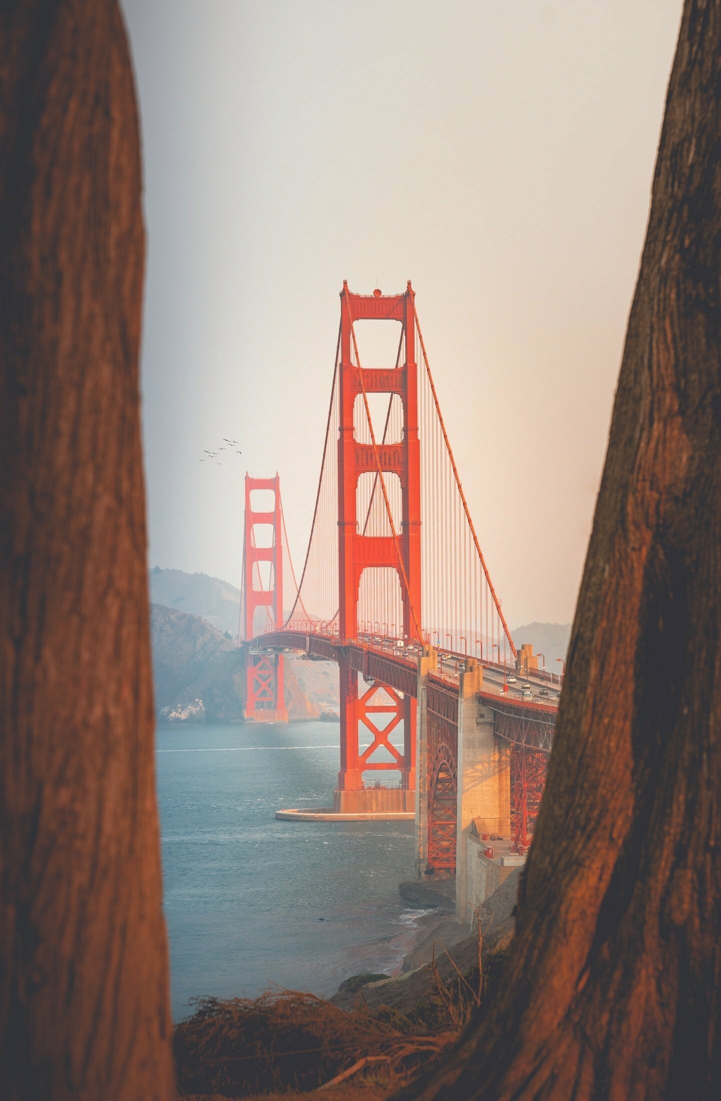 Golden Gate Bridge, San Francisco, 1450x2210 HD Phone