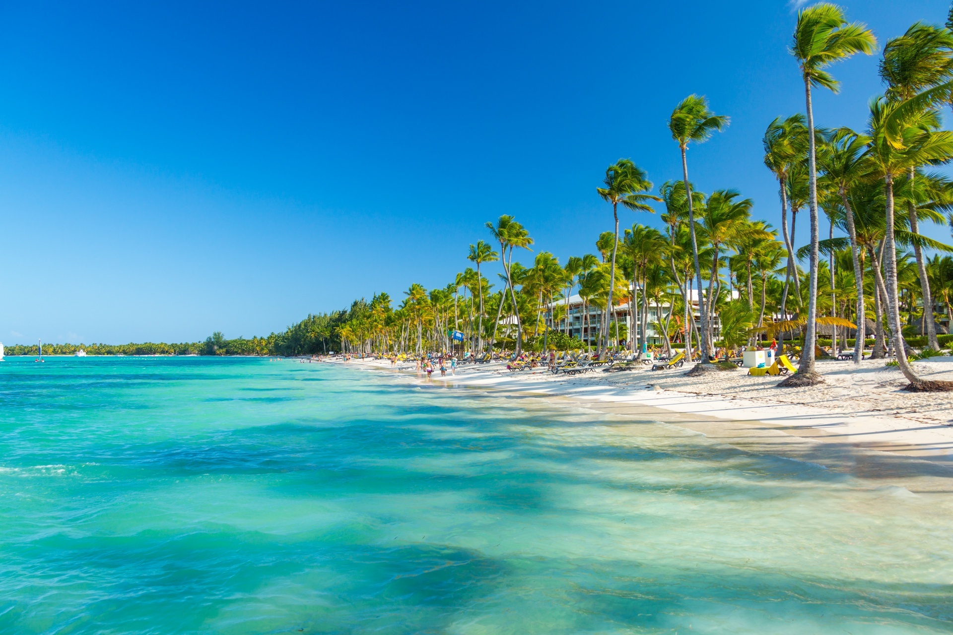 Tropical beach palm trees, Turquoise ocean shoreline, White sand beach resort, HD Desktop wallpaper