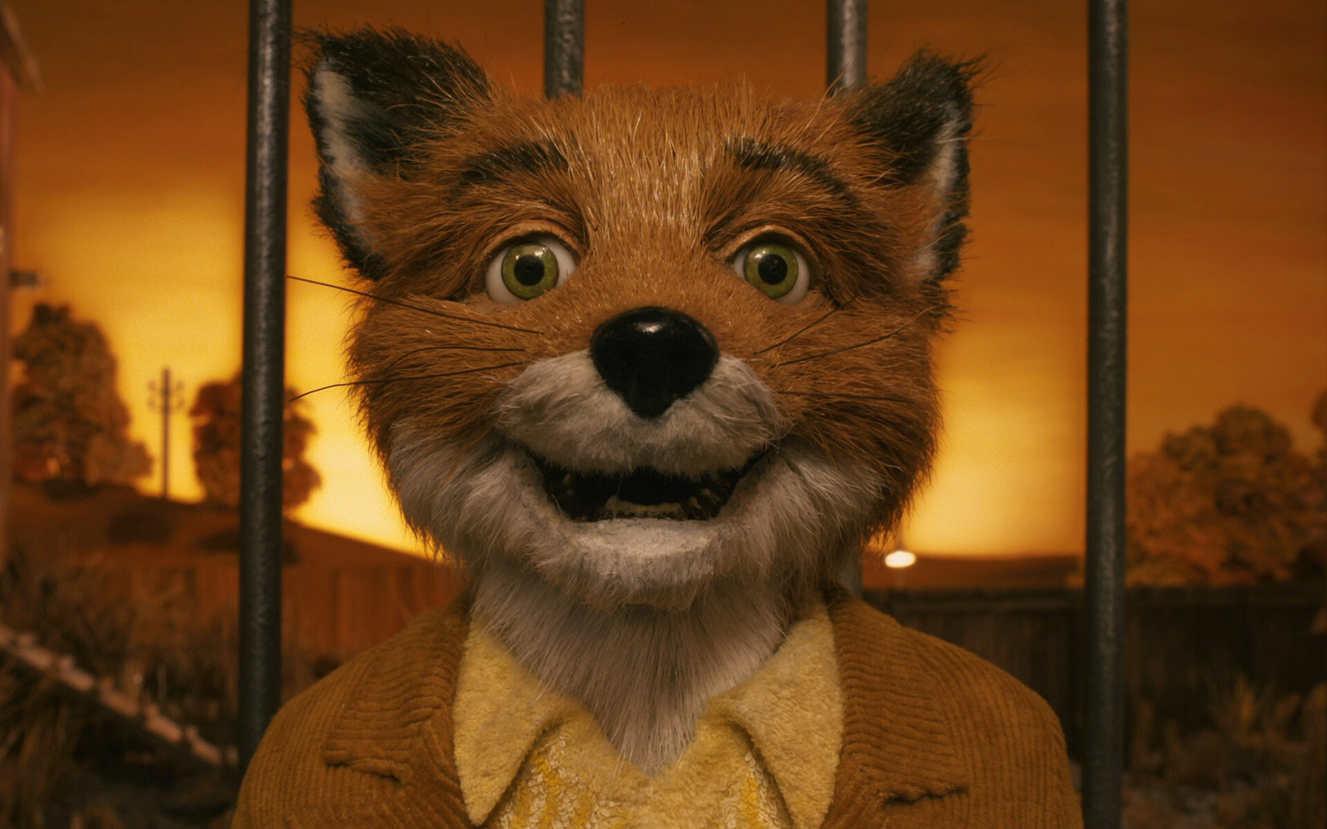 Fantastic Mr. Fox HD wallpaper, Artistic background, Mesmerizing design, Charming characters, 1920x1200 HD Desktop