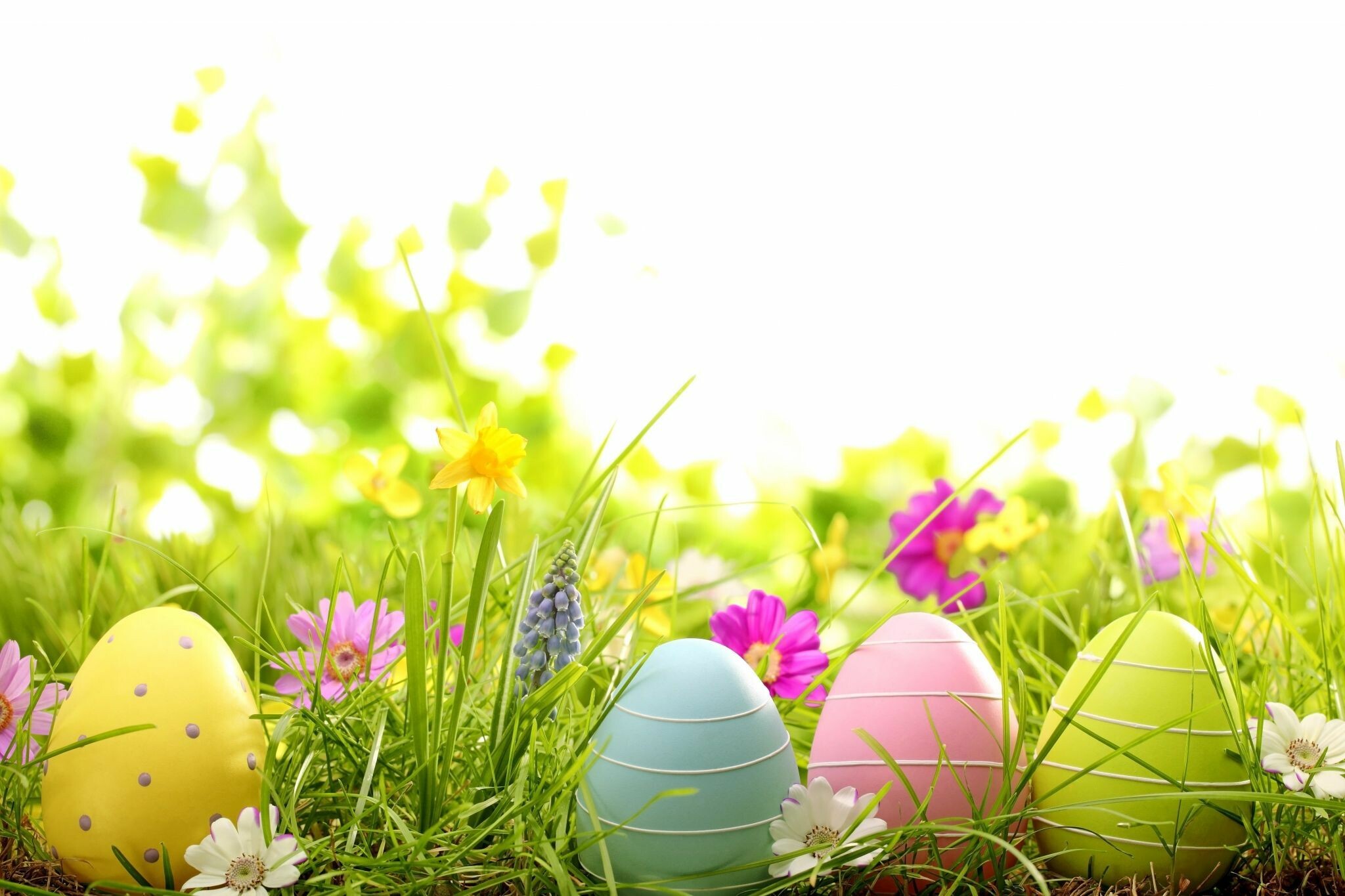 Spring Easter, Vibrant colors, Fresh beginnings, Joyful celebration, 2050x1370 HD Desktop