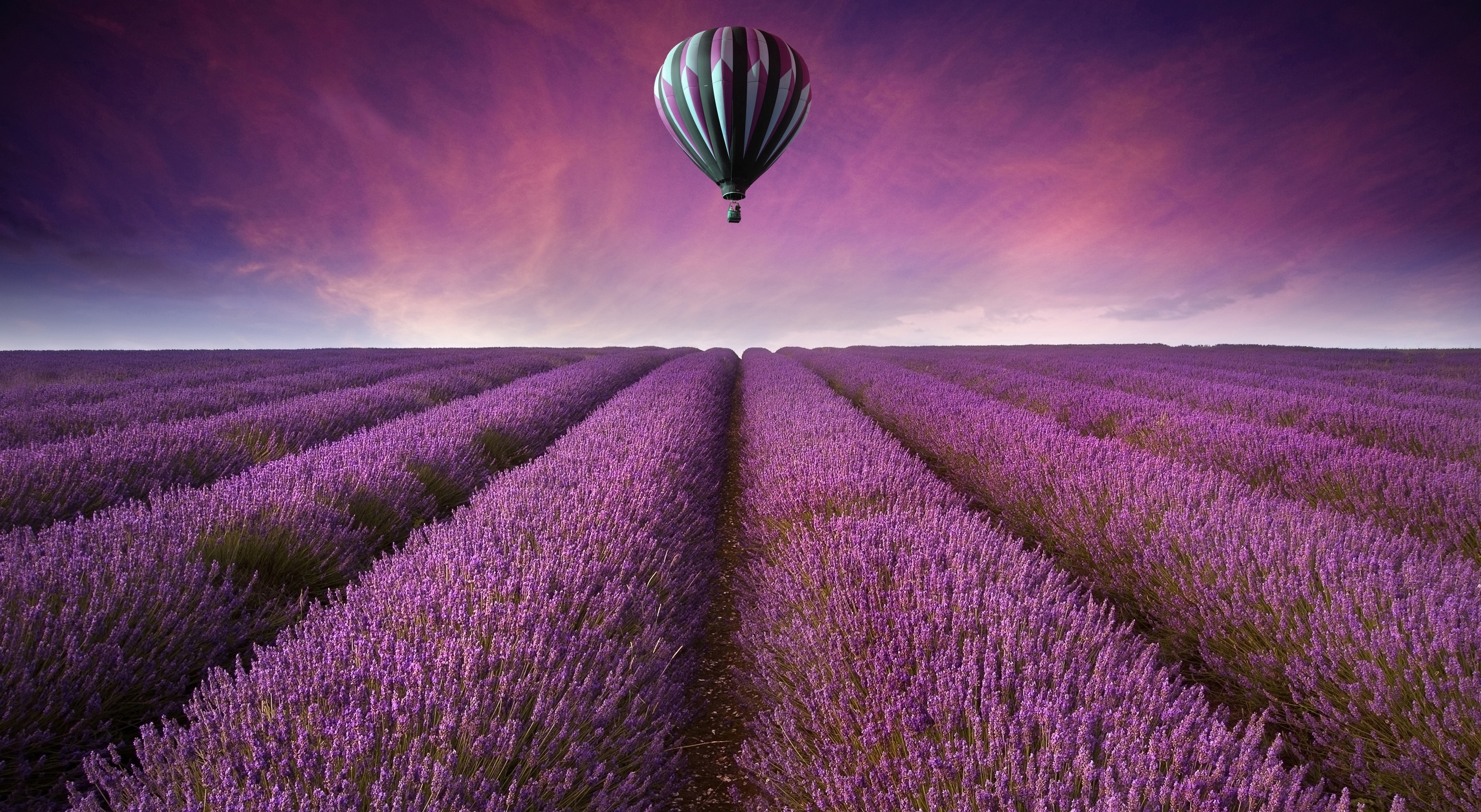 Lavender, 270 wallpapers, 3500x1920 HD Desktop