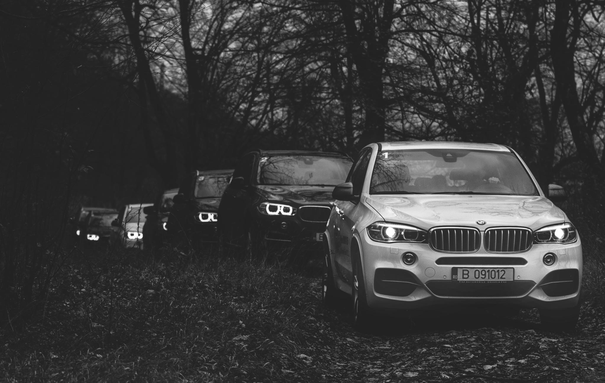 Forest Road, Column, BMW X5, 2050x1300 HD Desktop